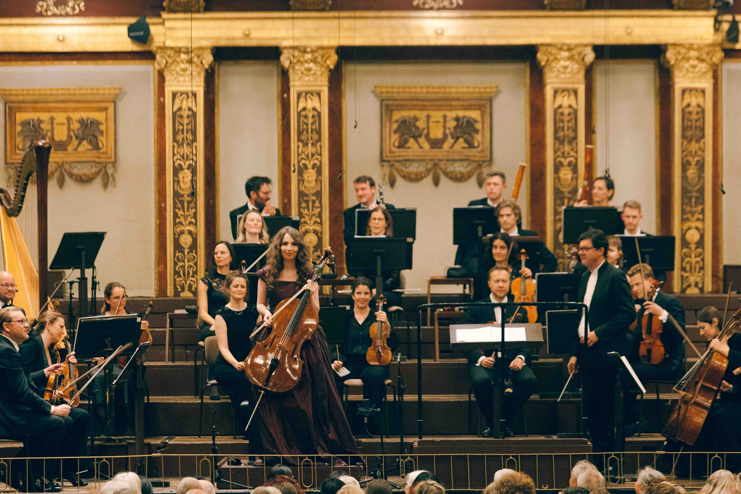 MUSIKVEREIN (VIENNA). Wedding&Event photographer Ismail Rzayev in Baku