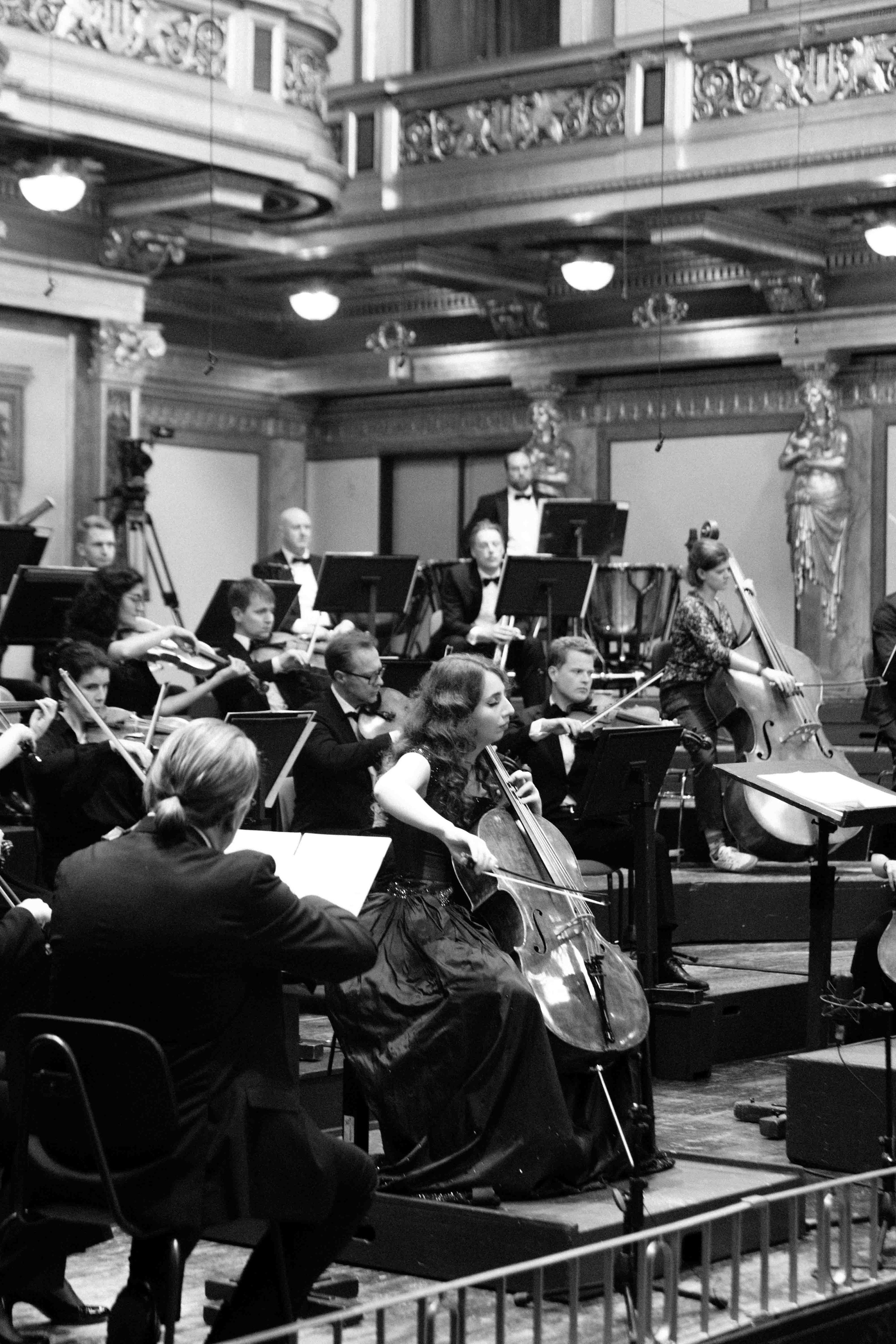 MUSIKVEREIN (VIENNA). Wedding&Event photographer Ismail Rzayev in Baku