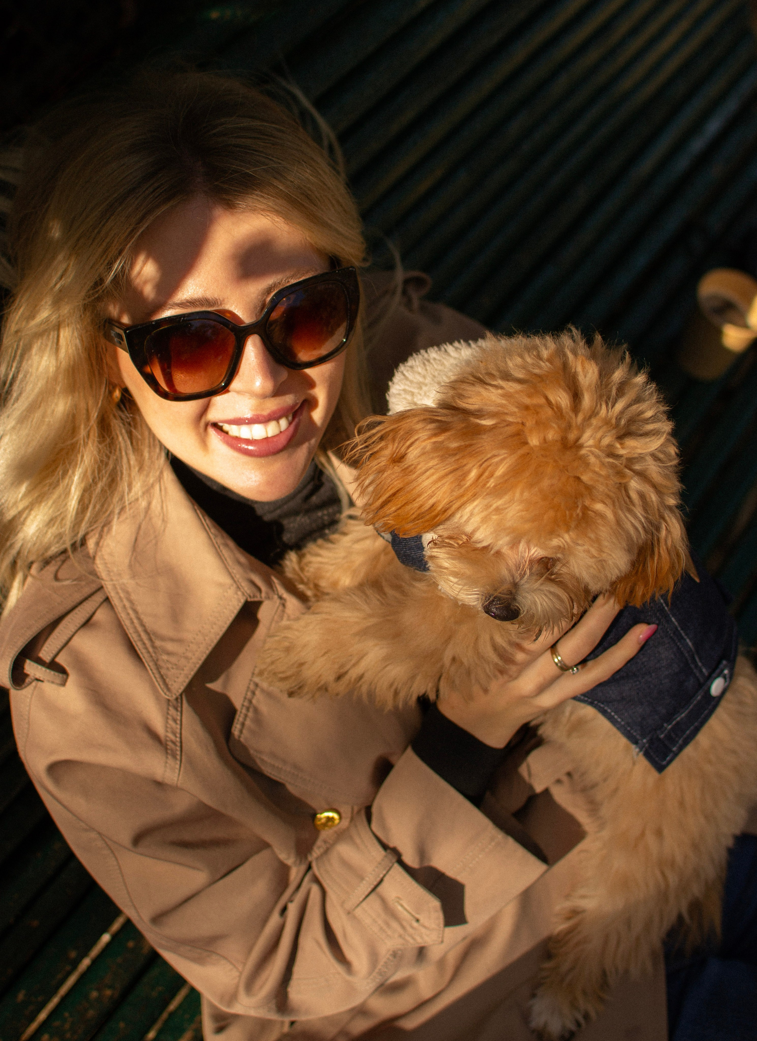 Barney, Nastya et Kolya. Photographe animalier à Paris Anna Pereira