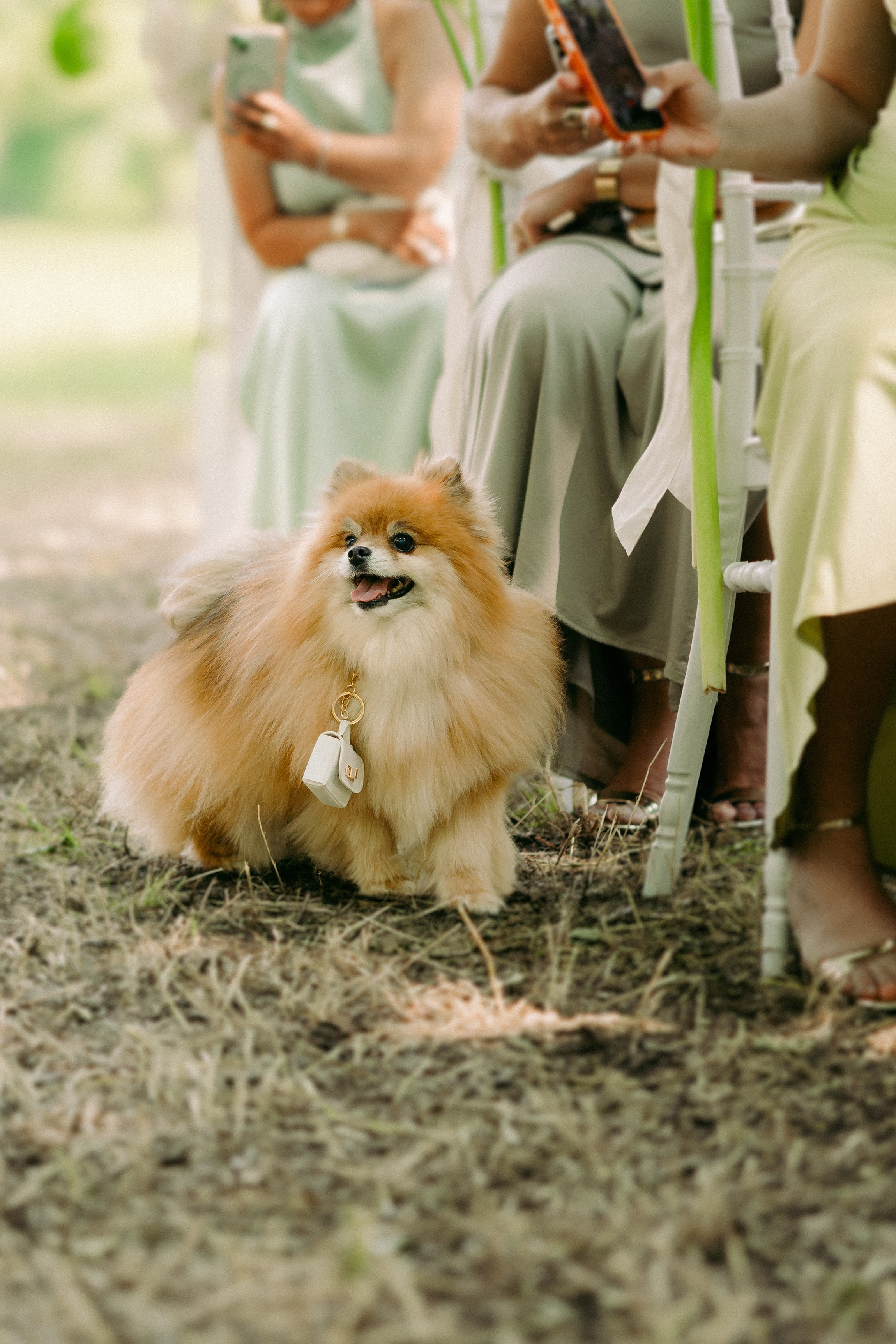 A&R. Garda Lake Wedding Planner