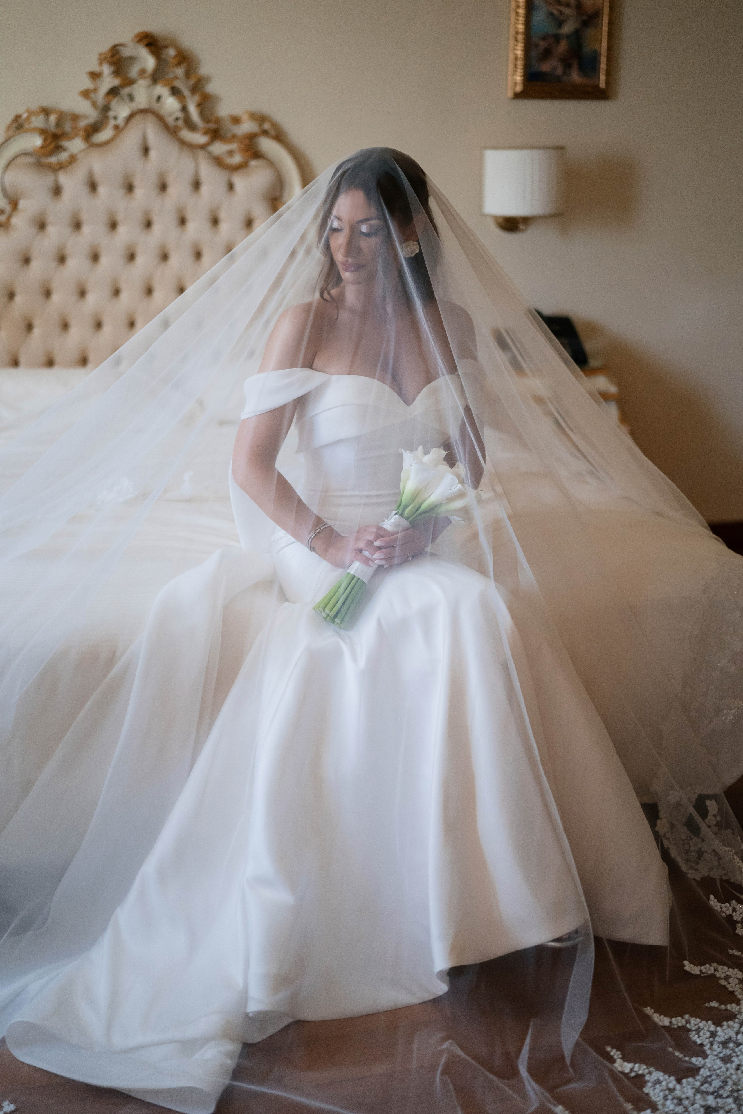 Cosmin & Georgiana. Studio Timis