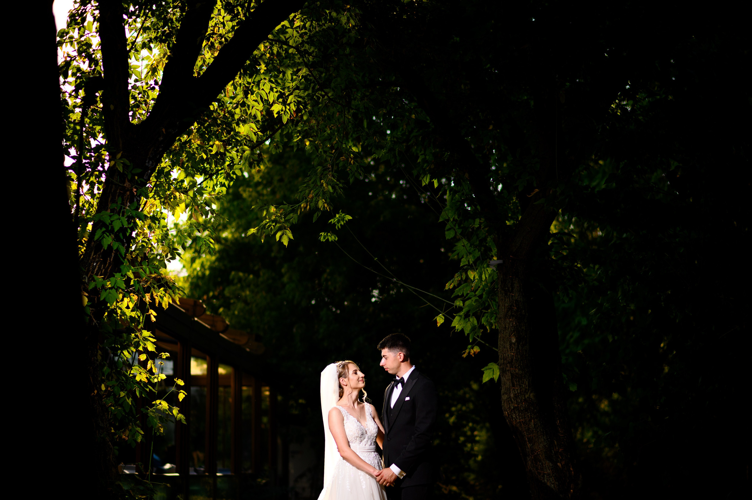 Wedding. Alin Doana Visual Art