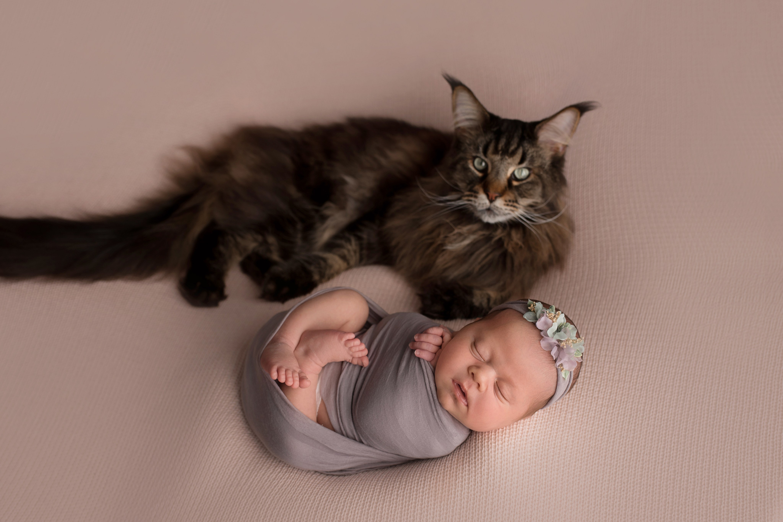 Alisa 15 days. In-home newborn photography Raleigh & area Katya Kulikova