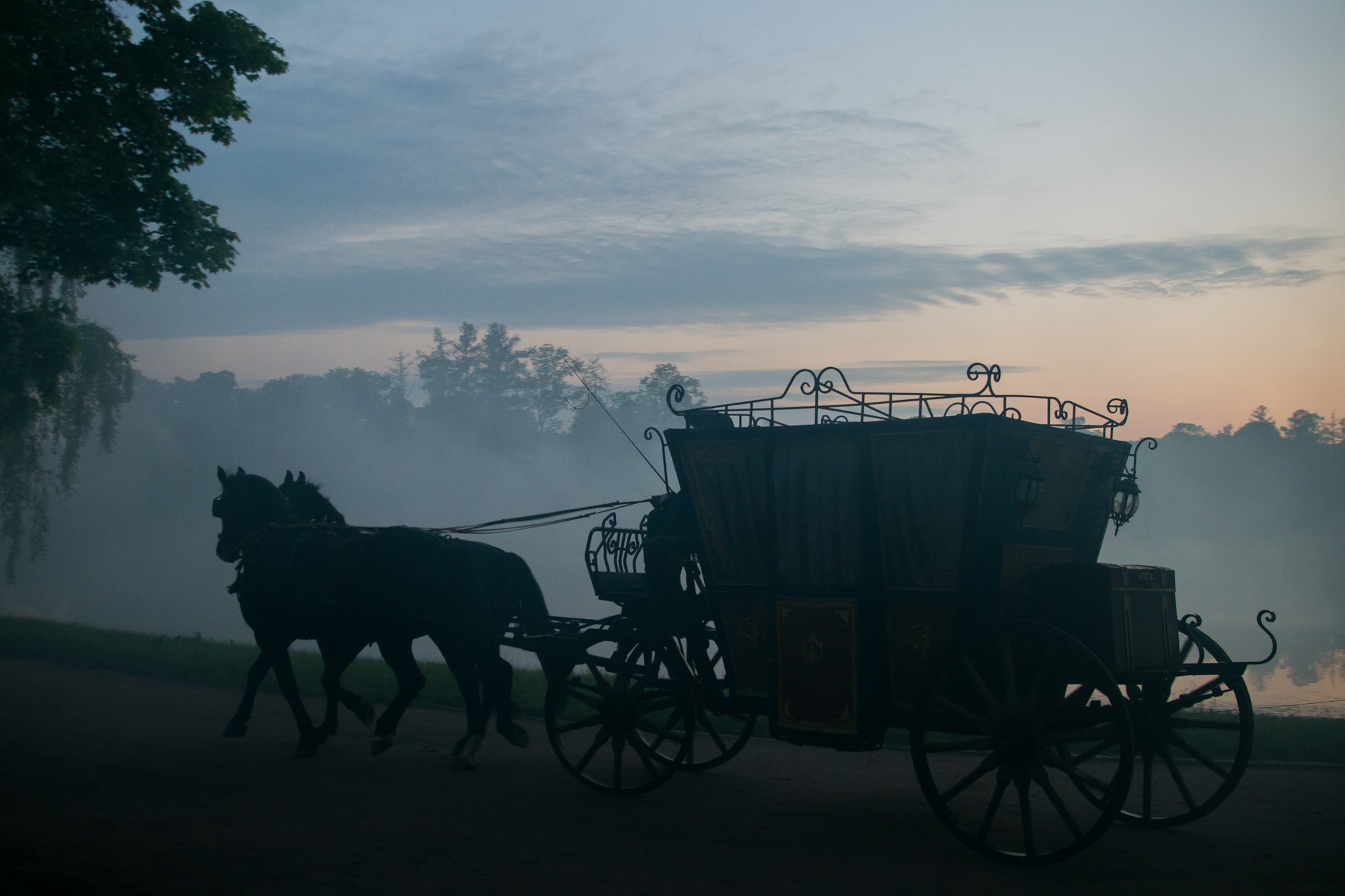 My experience. International Photographer