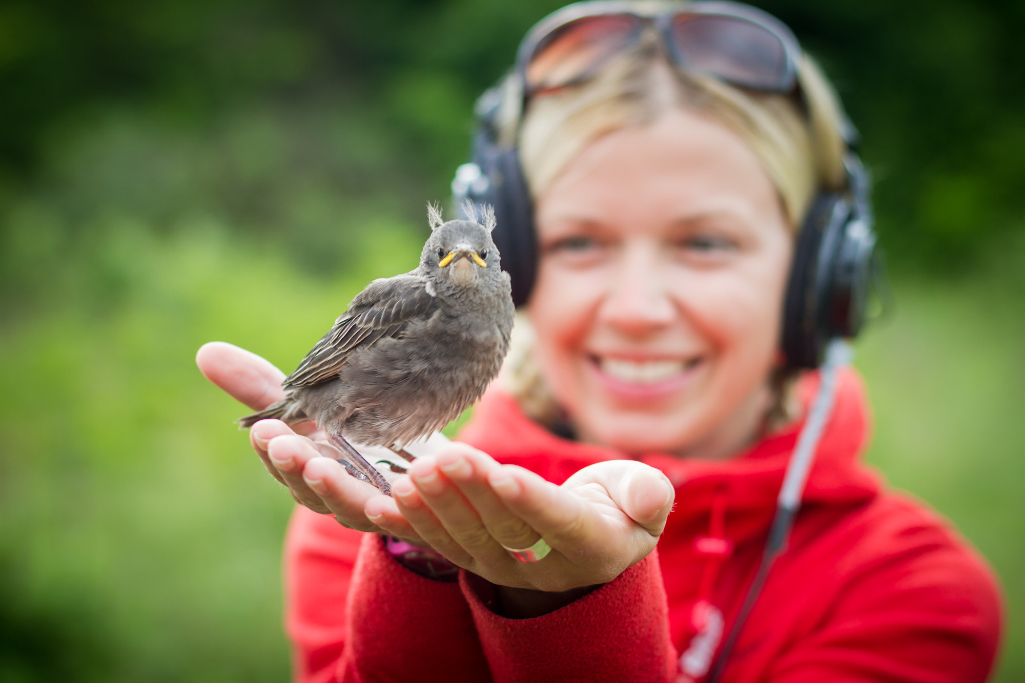 My experience. International Photographer