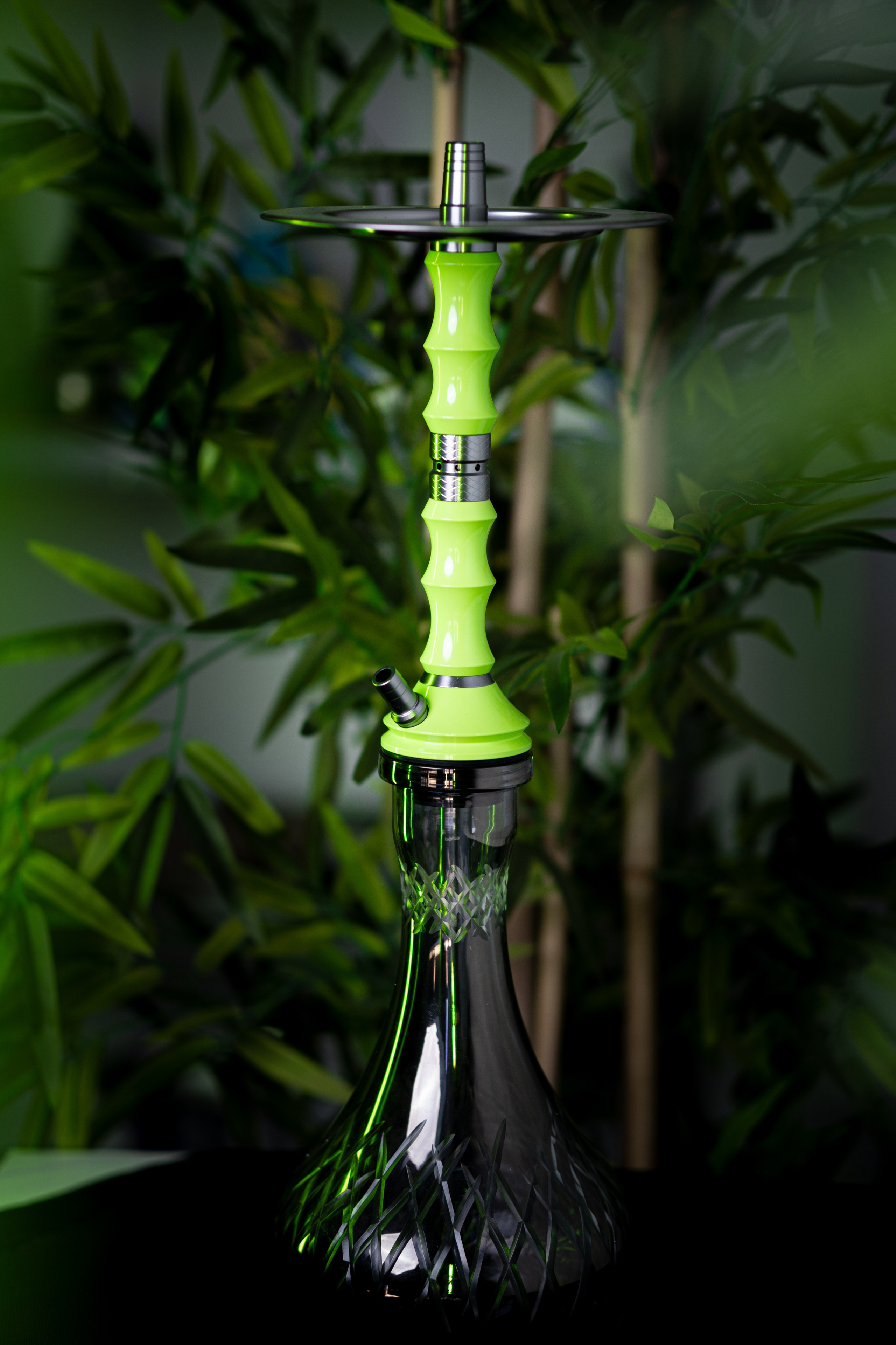 Cachimbas. Baby Beast