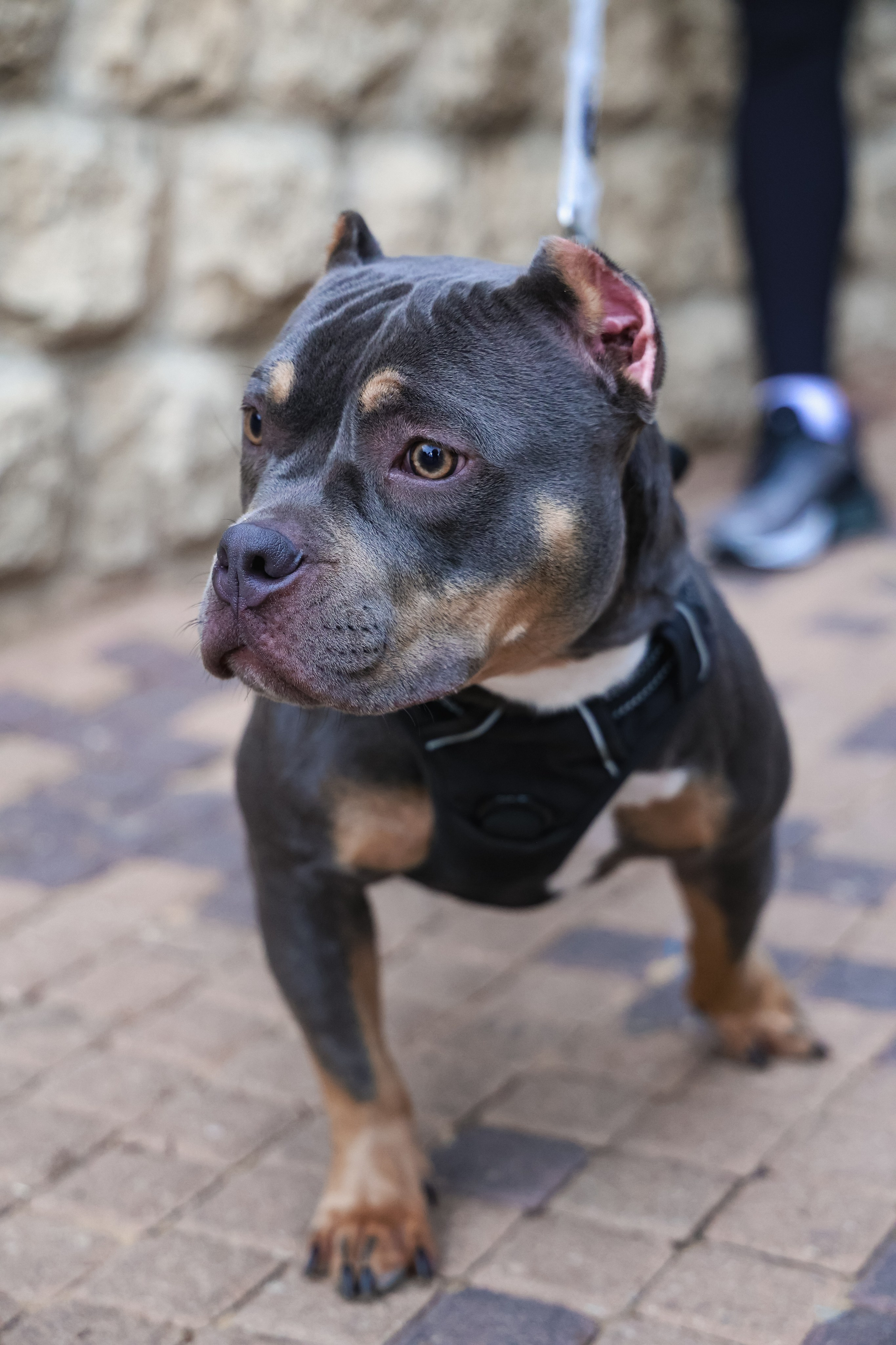 Семейная. Photo__Vladi