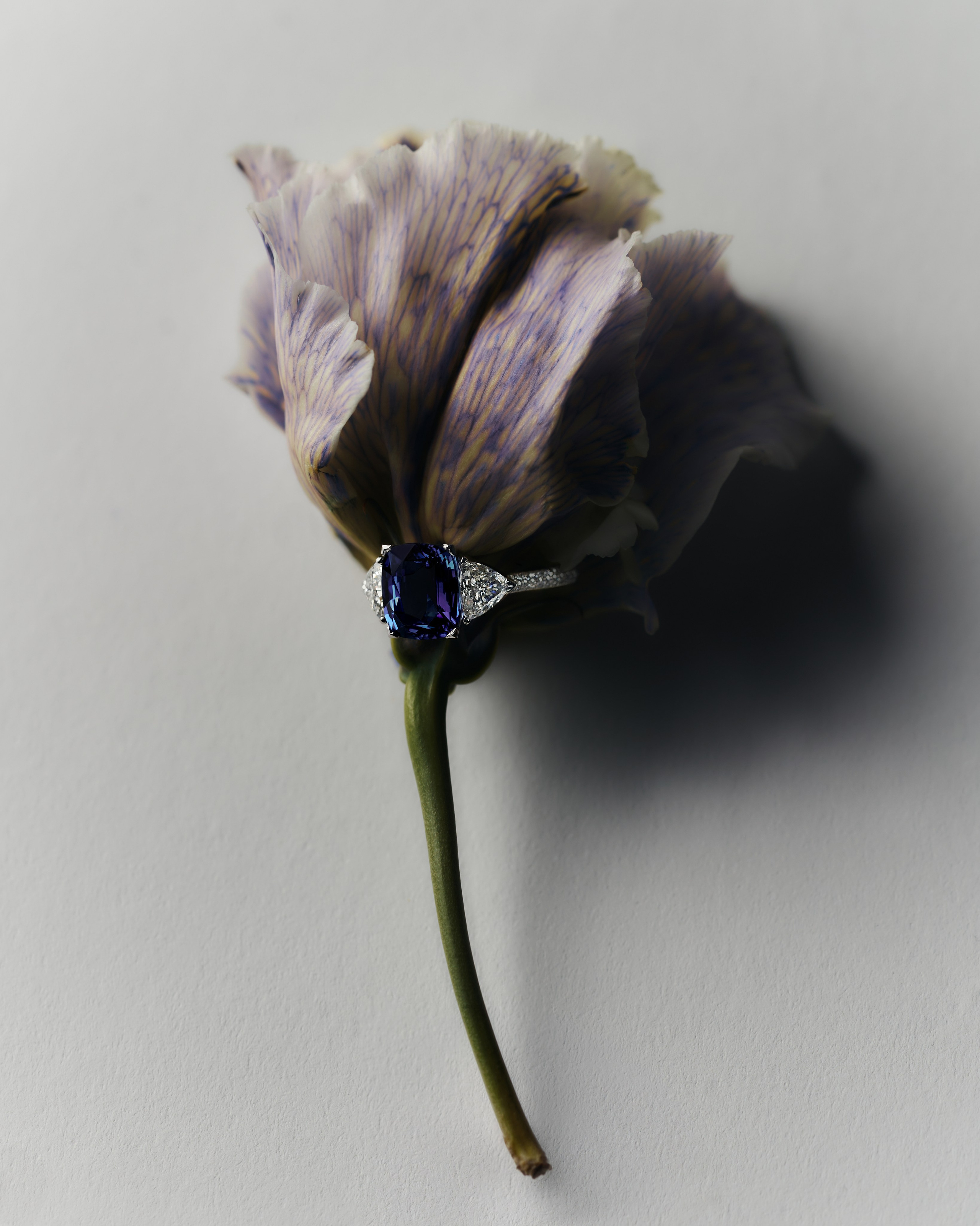 JEWELLERY. Fashion and advertising photographer Alina Mikhalkovich Dubai