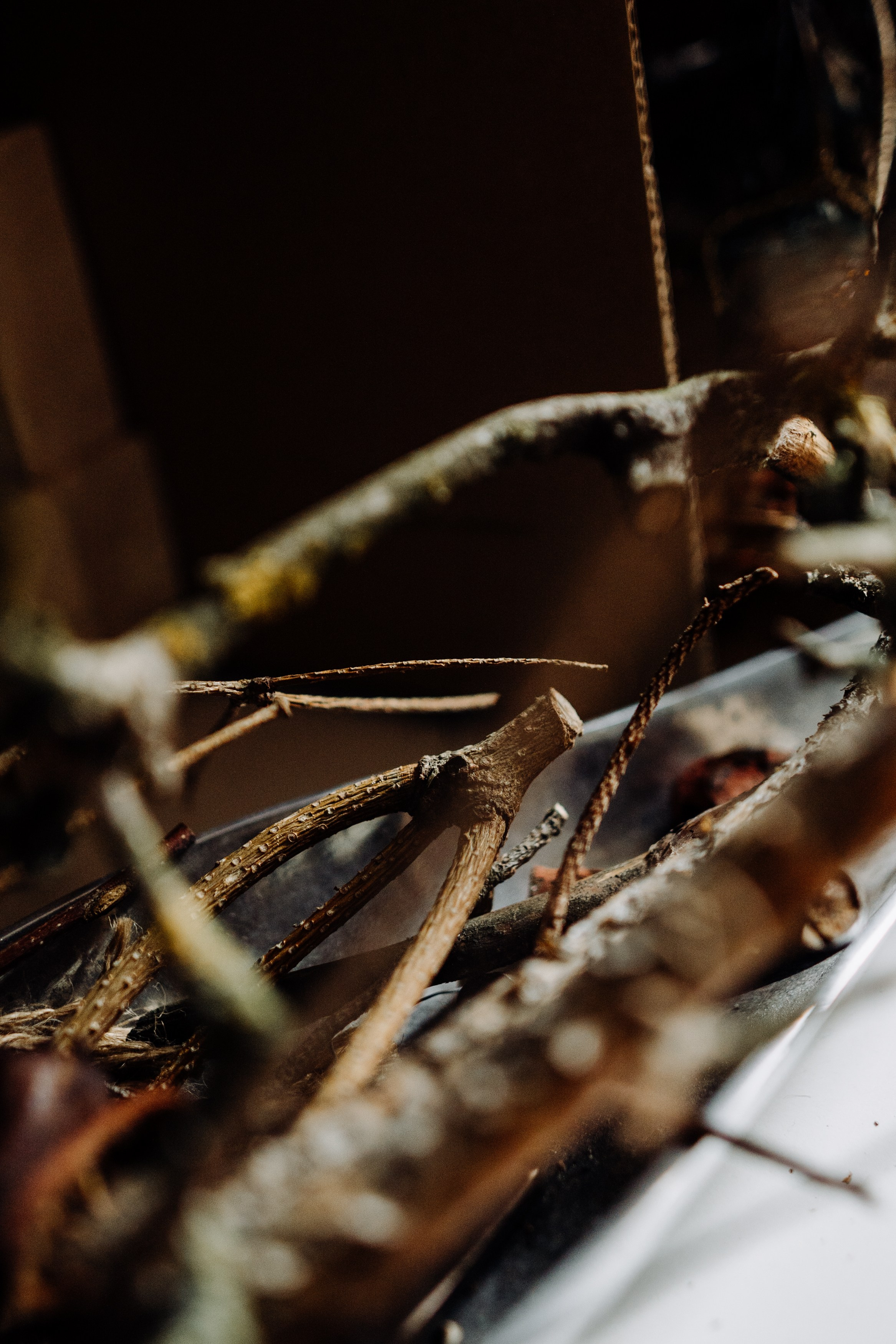 Elena. Фотограф в Праге Анна Лебедева
