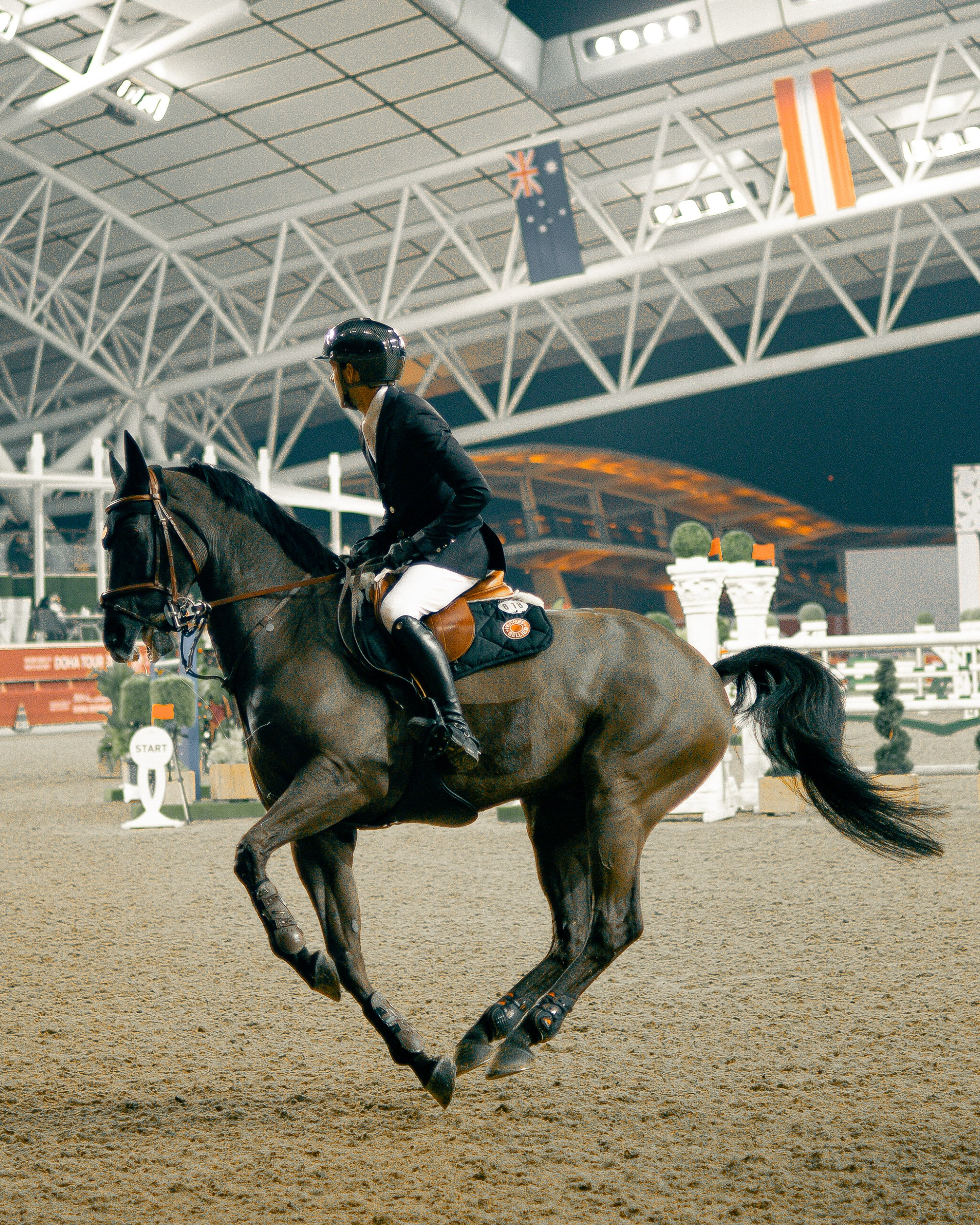 Doha Tour 2024 🐎. Regina Turbin — official website