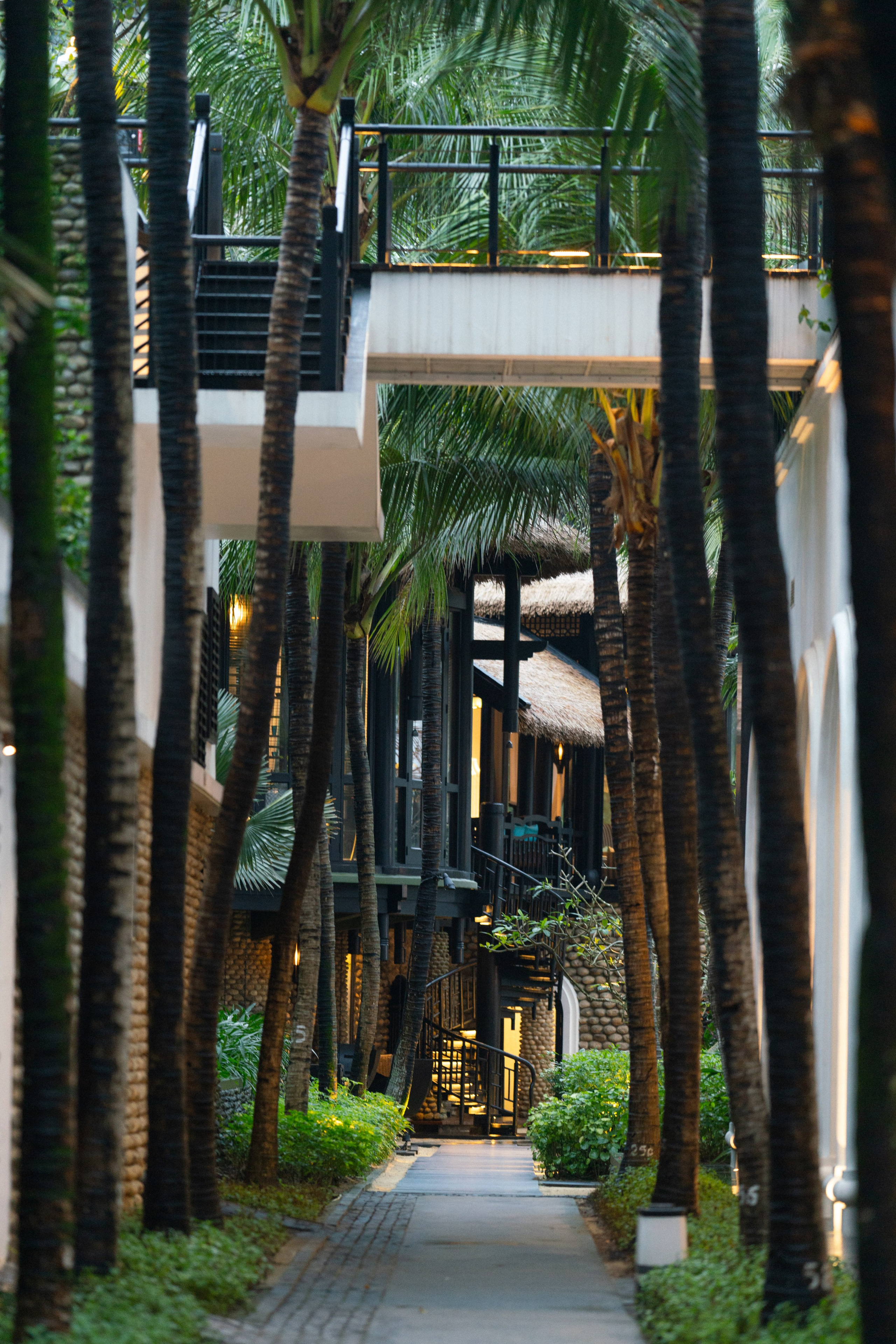 Katerina and Alexey. Aesthetic & Lifestyle photographer in Da Nang, Vietnam