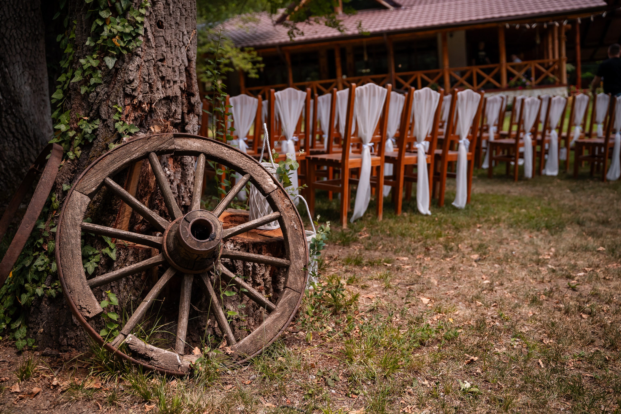 Cununie Oana & Cosmin