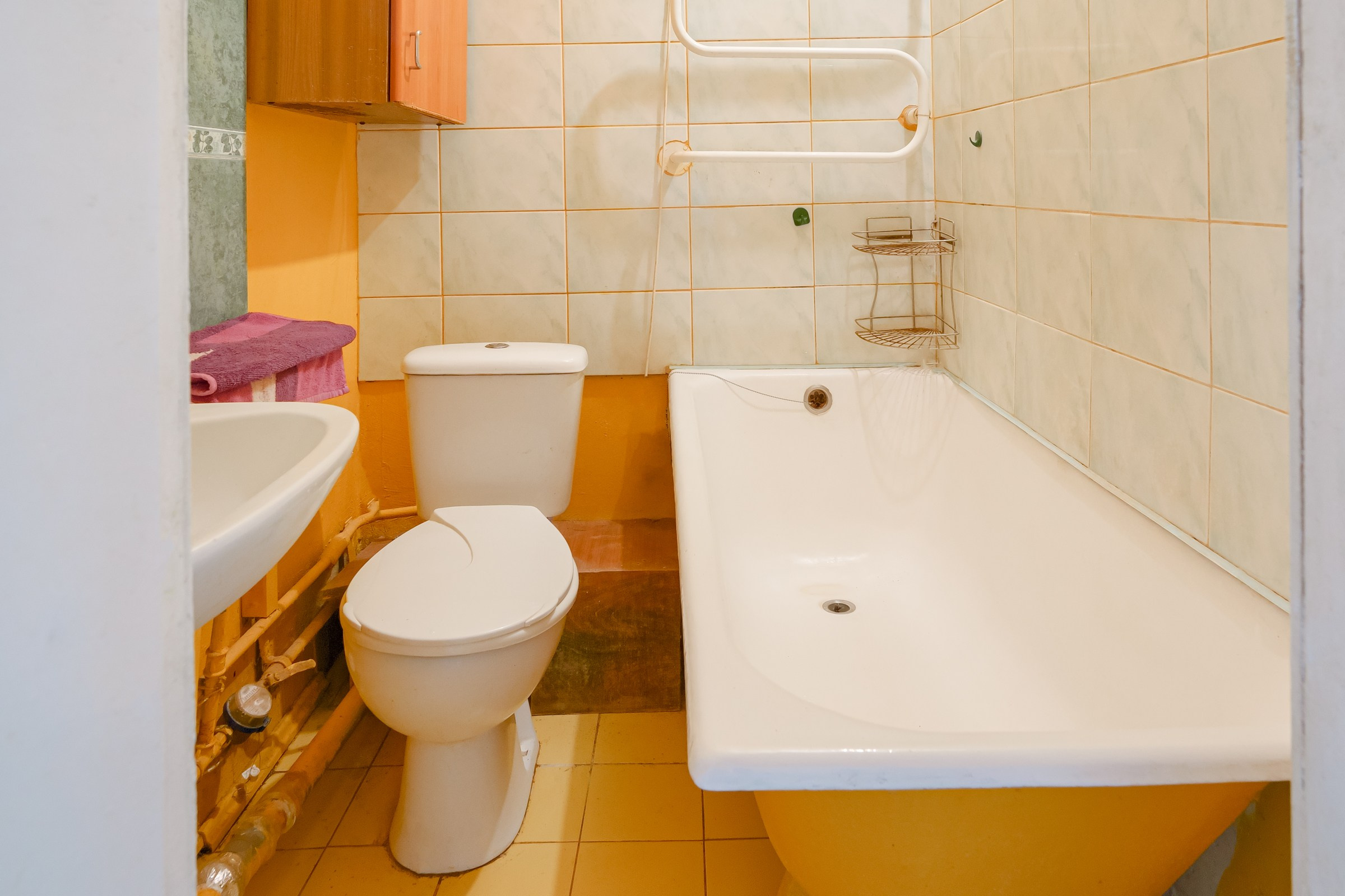 Grigiškes, Vilniaus g. Elina Sapiega fotografė Vilniuje