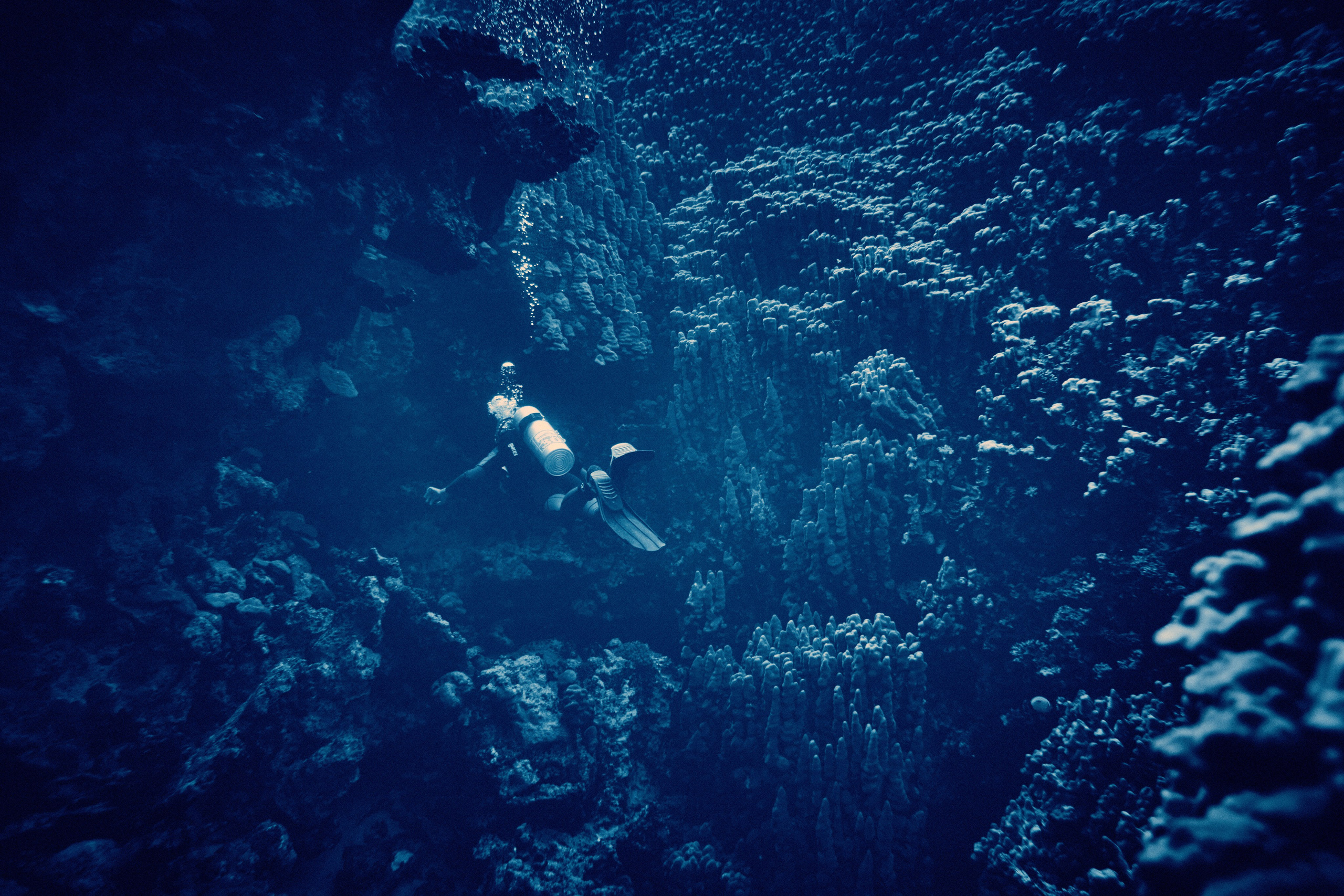 2023-11 - Diving Safari Deep South Egypt. Andriej Szypilow — Photography & Videography