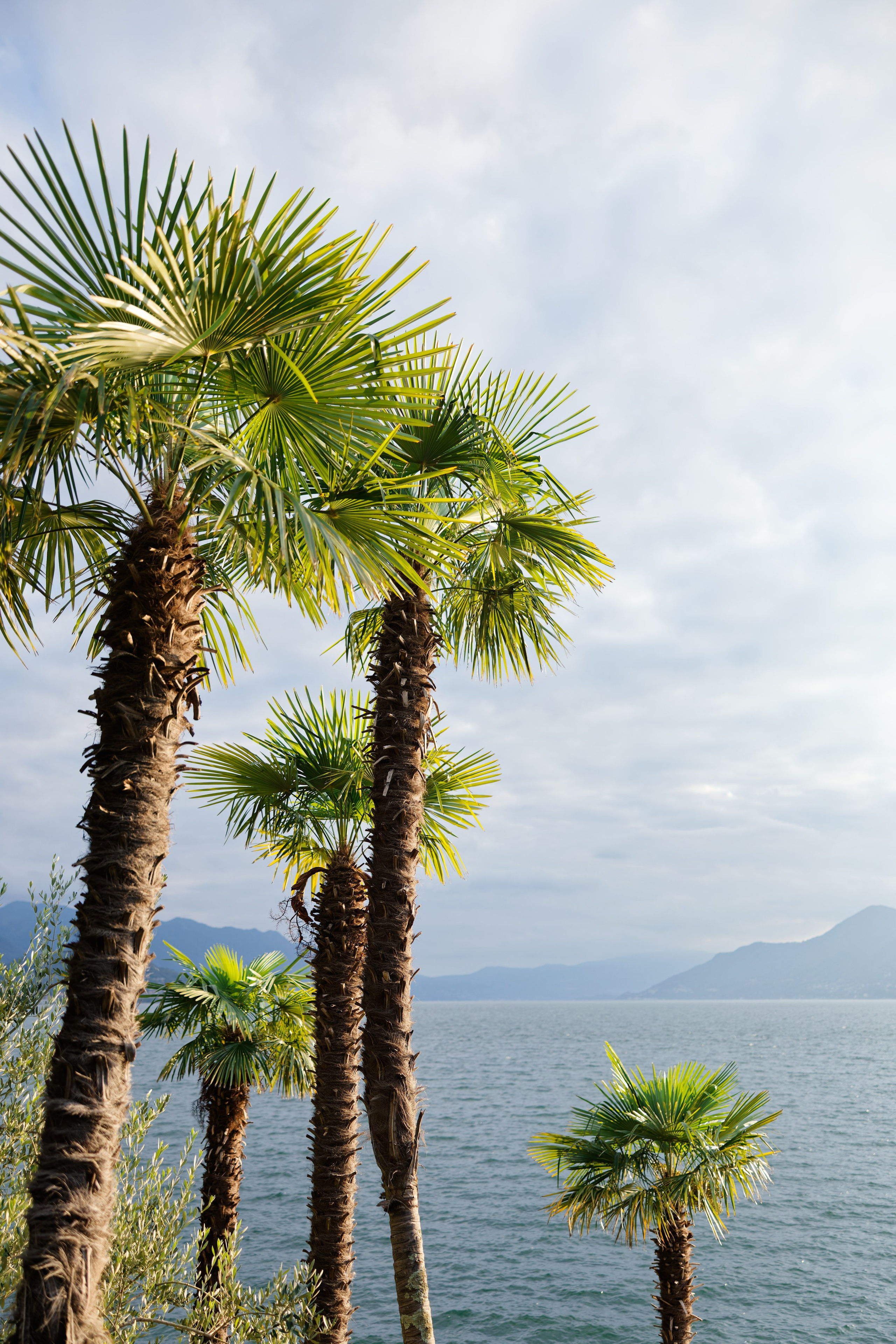 Wedding at Villa Porta on Lake Maggiore