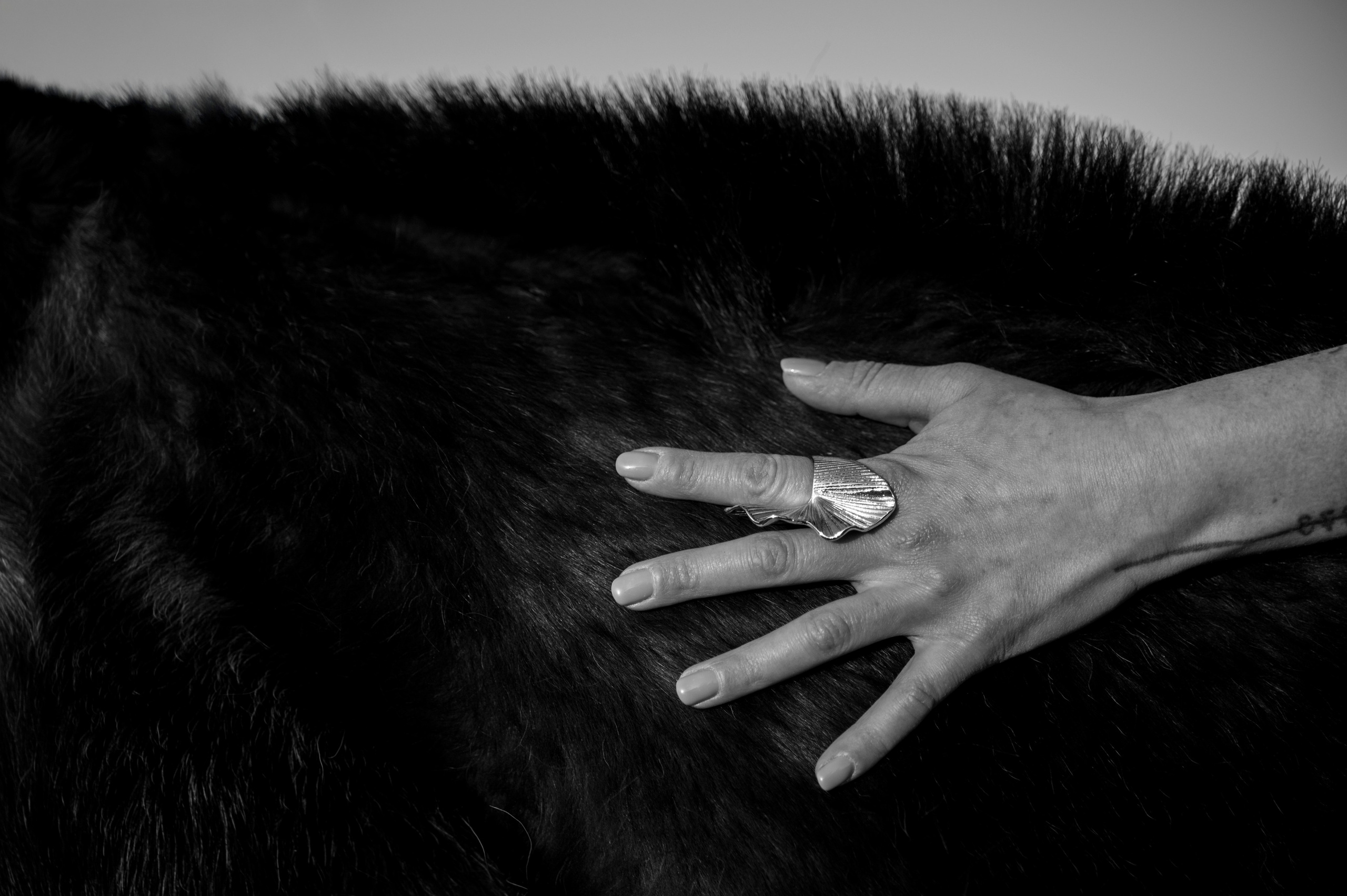 Agata. Фотограф Таллинн — свадьба |семья | lovestory