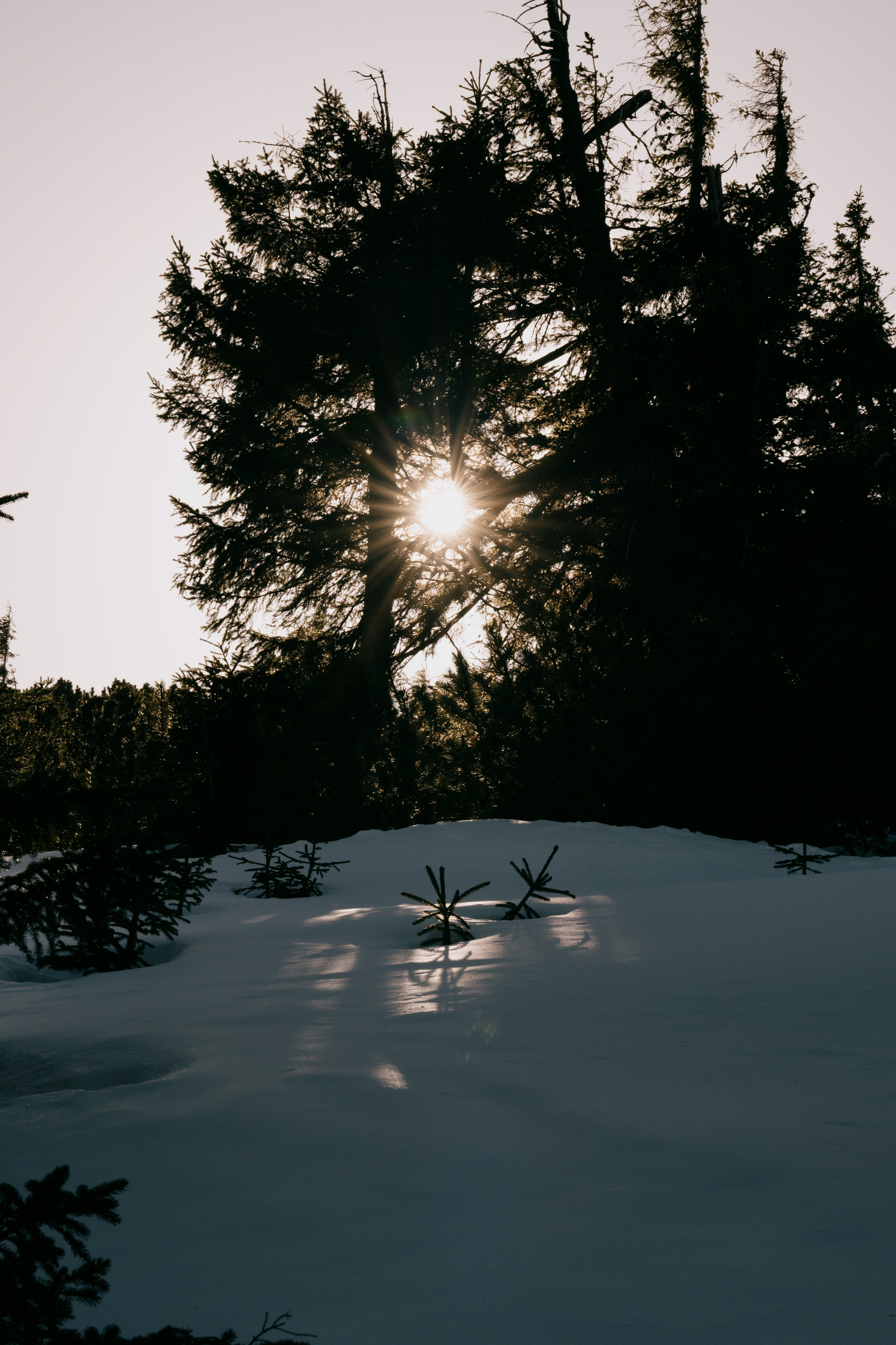 Landscape. Fotograf Poznan