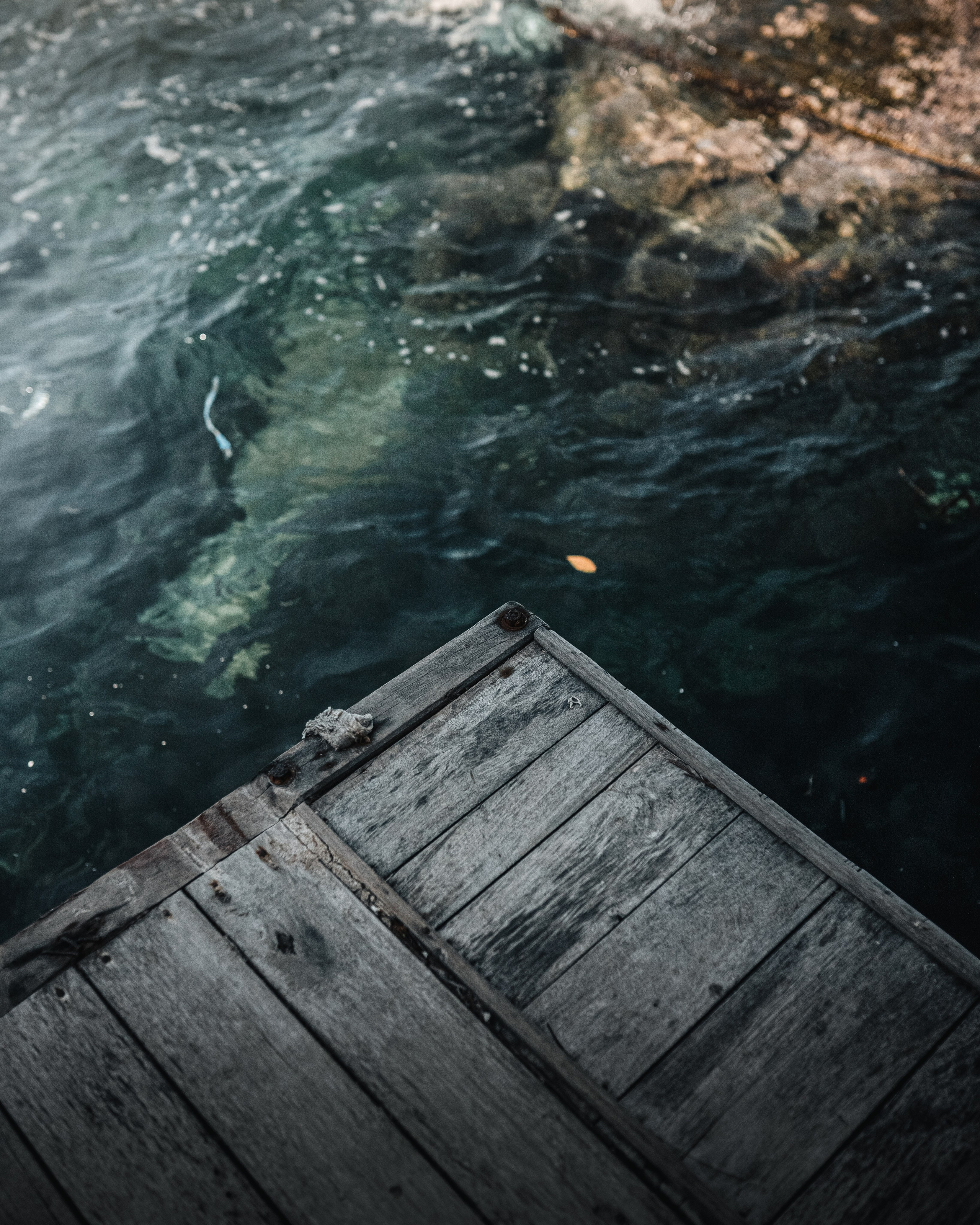 Photography. ODIX Creative