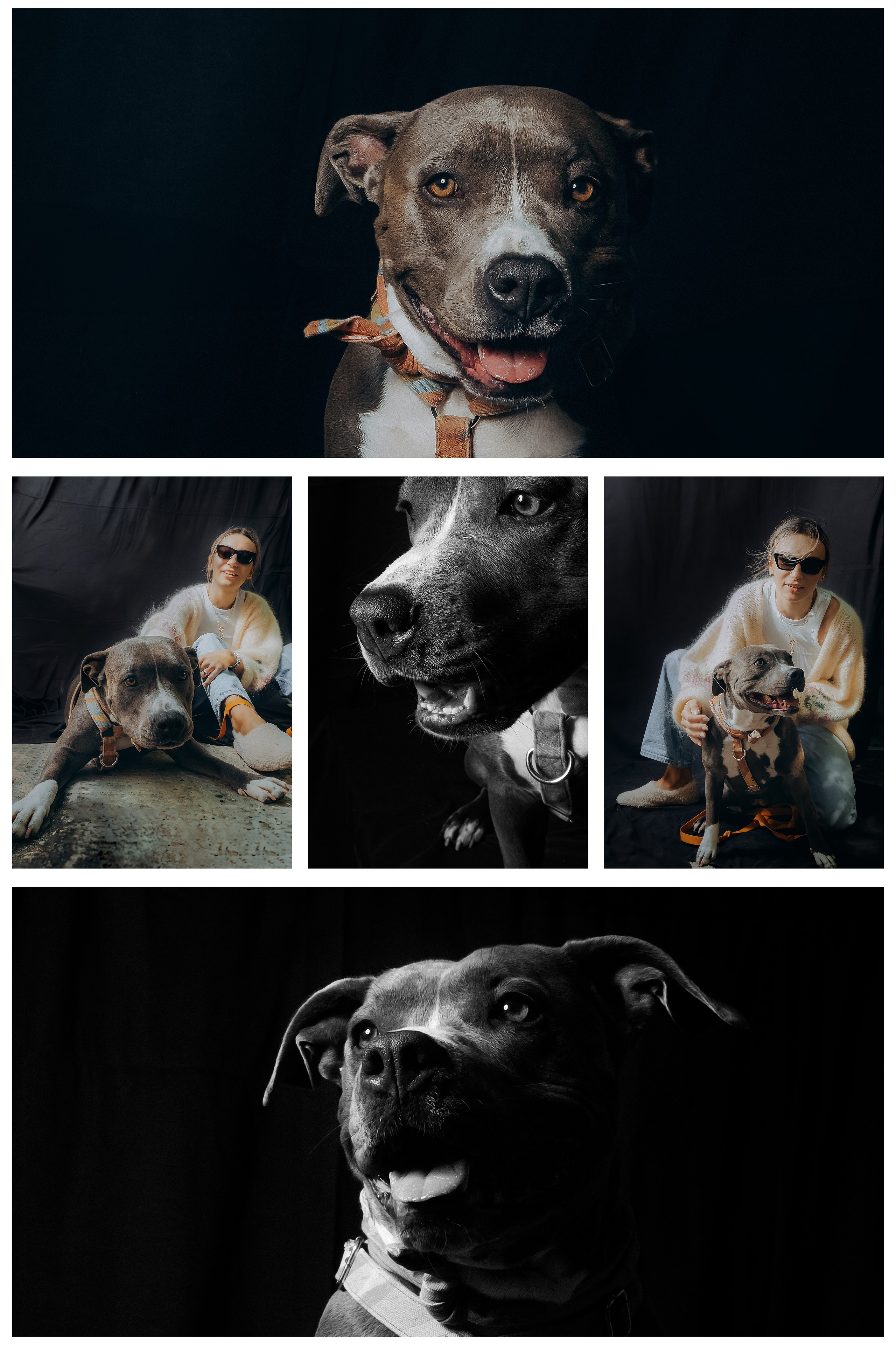 TOLOKA. Портрет за донат. Валерія Сичова. Сімейний та репортажний фотограф в Португаліі