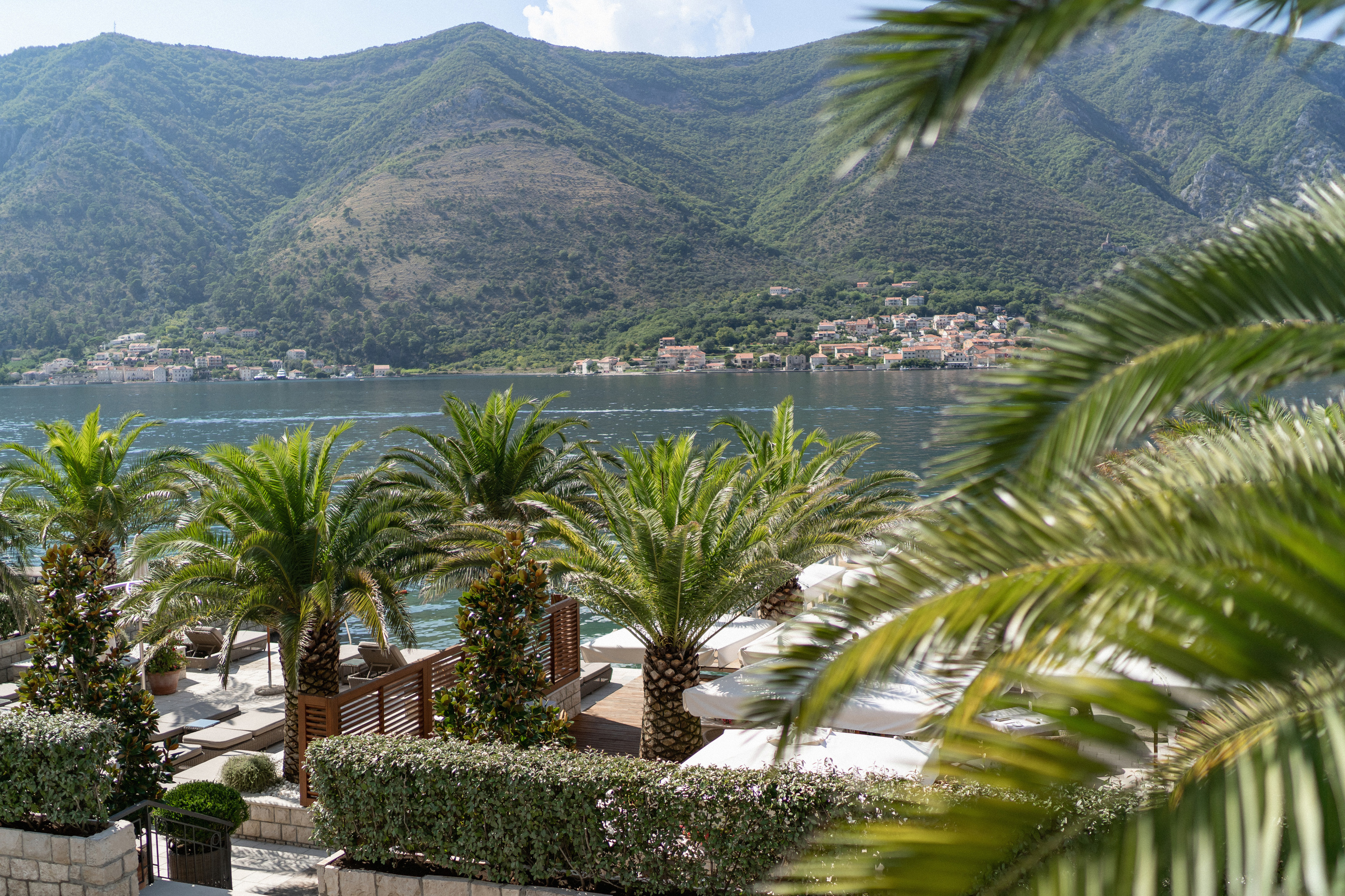 Igor ve Veronika'nın Kotor, Karadağ'da düğünü
