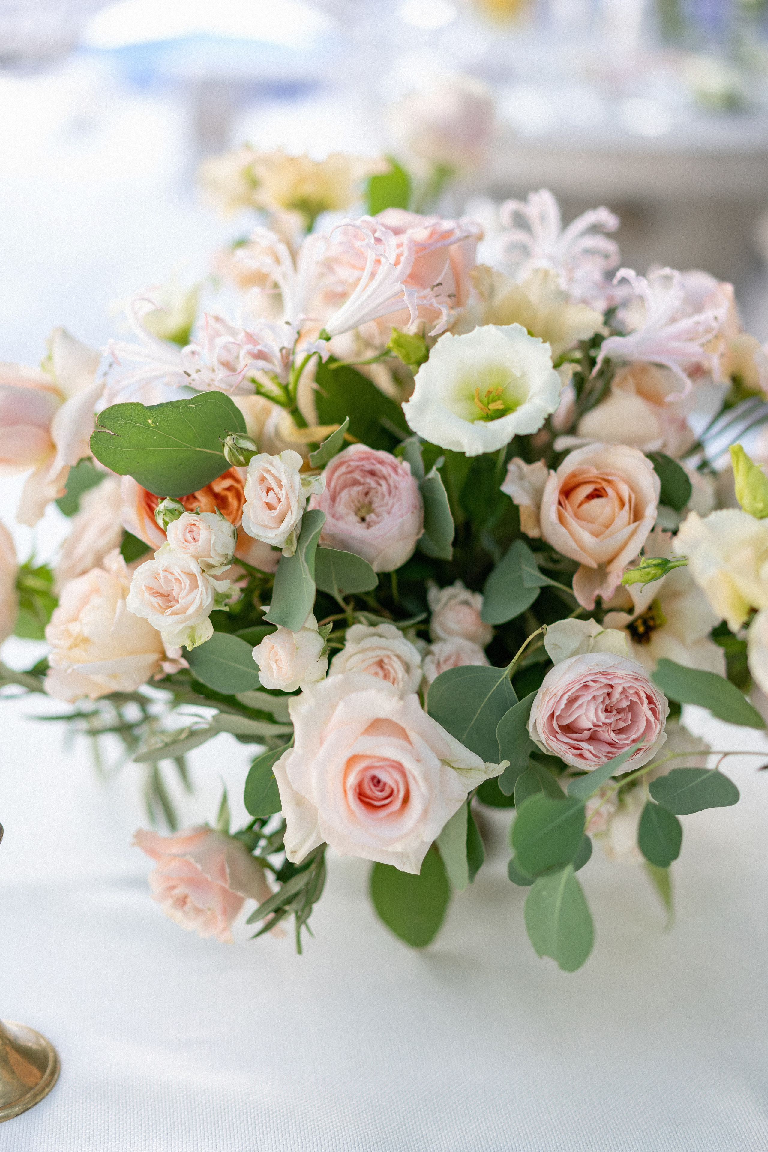 Igor ve Veronika'nın Kotor, Karadağ'da düğünü