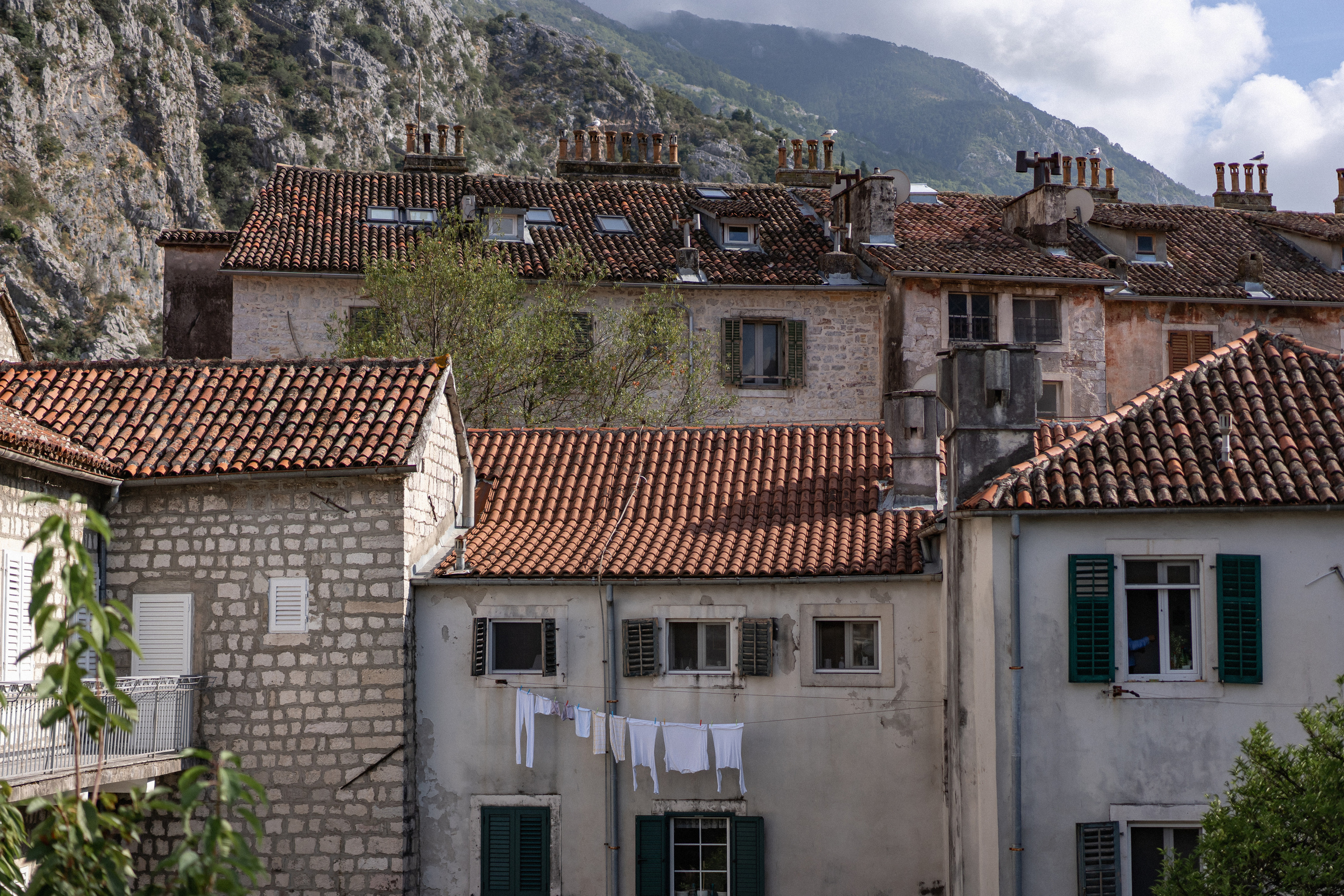 Igor ve Veronika'nın Kotor, Karadağ'da düğünü