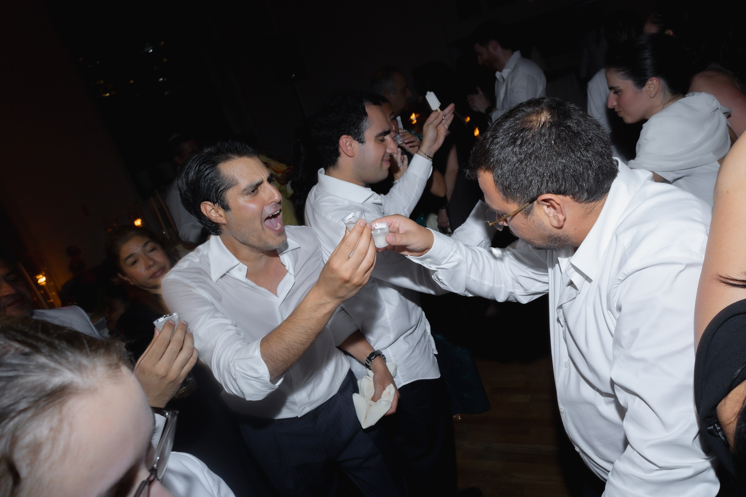 Amir and Maya. Anna Krasnova Wedding photographer