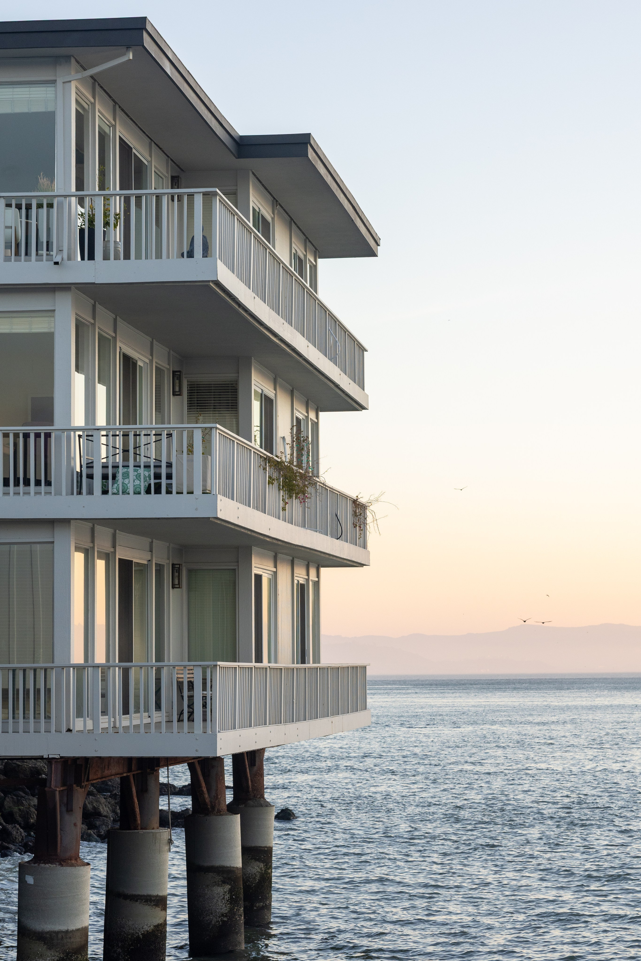 San Francisco. Aleks.photo | Book a photoshoot