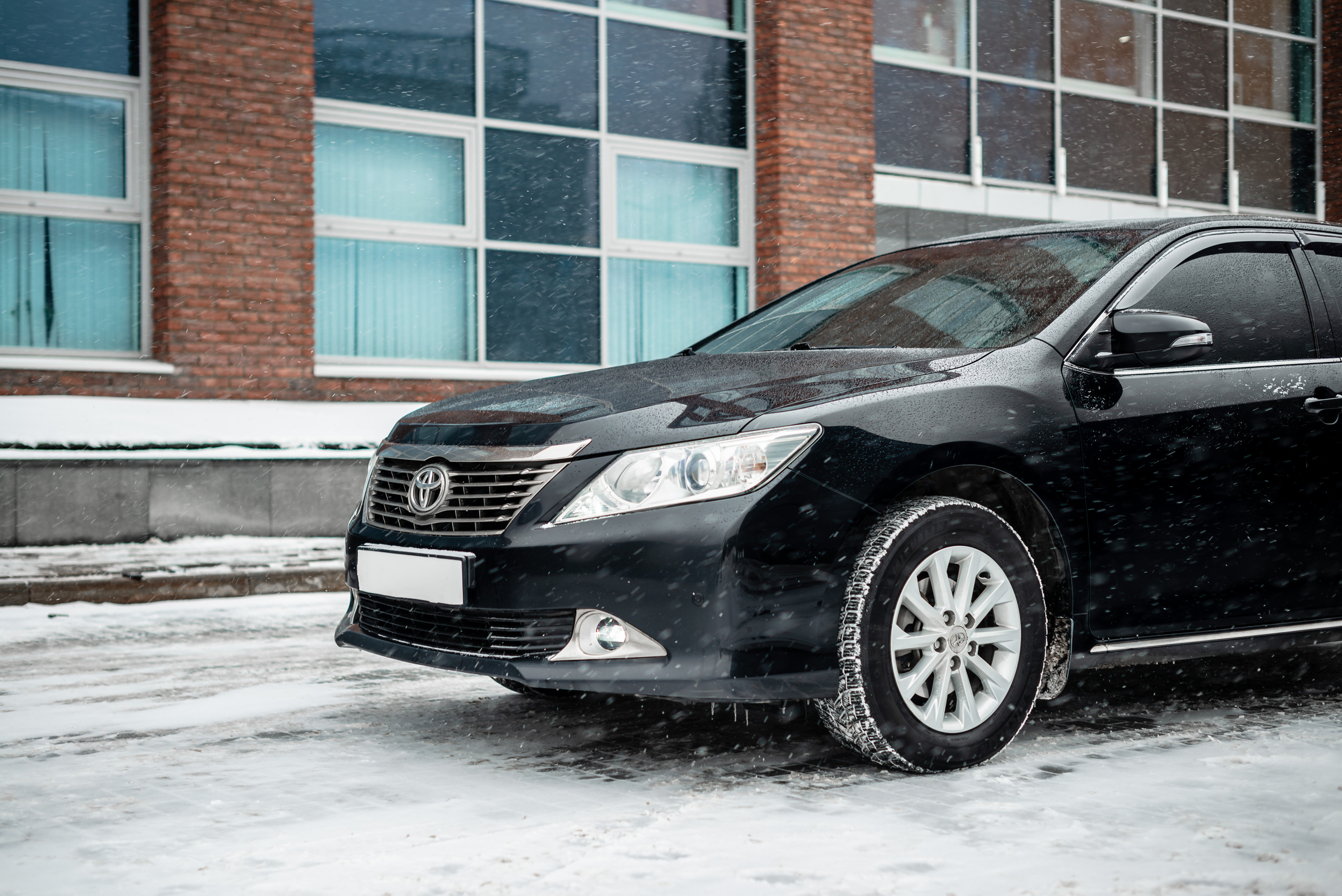 Reviews. PHOTOGRAPHER QUINTANA ROO