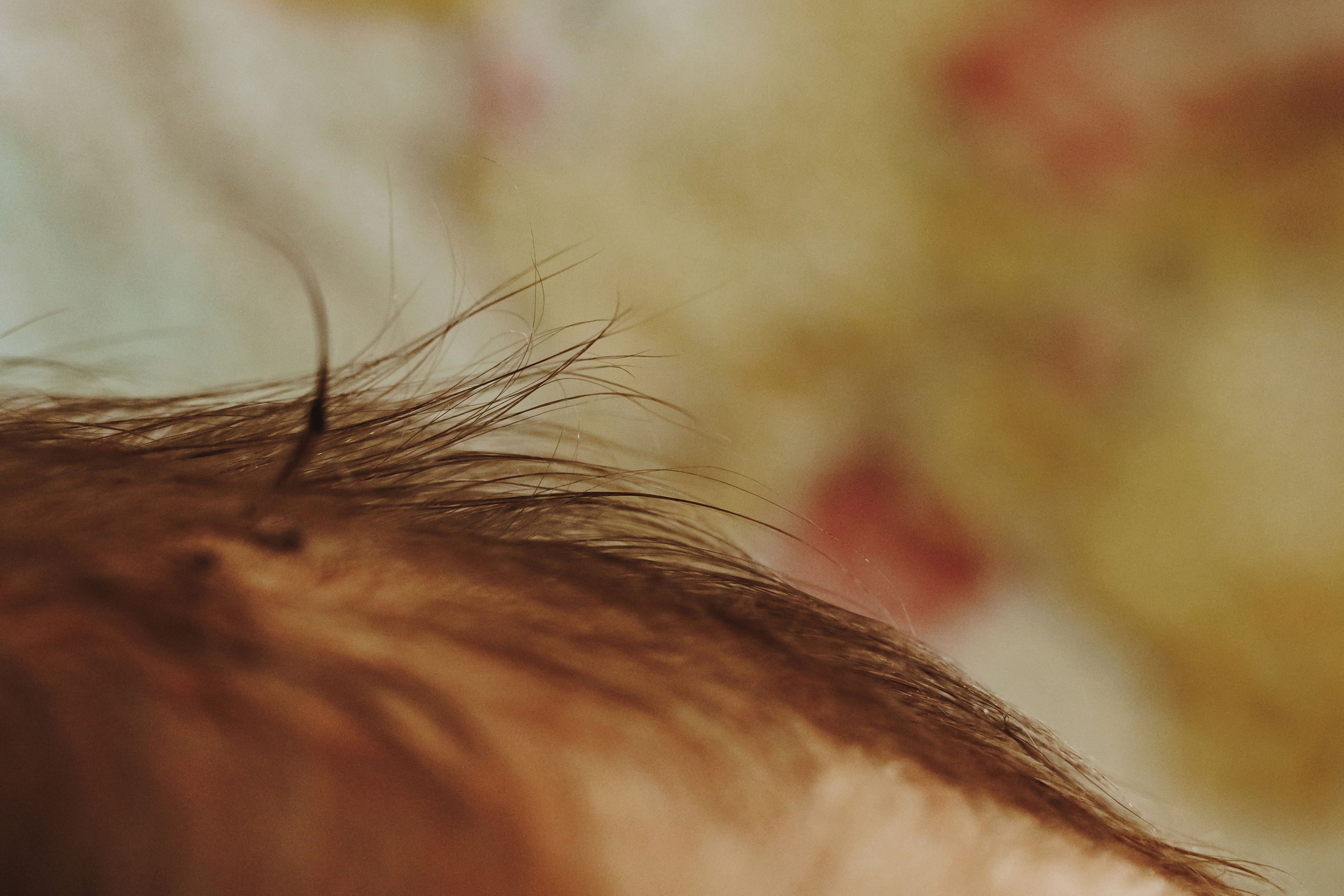 Изписване. Фотограф Ирина Йотова