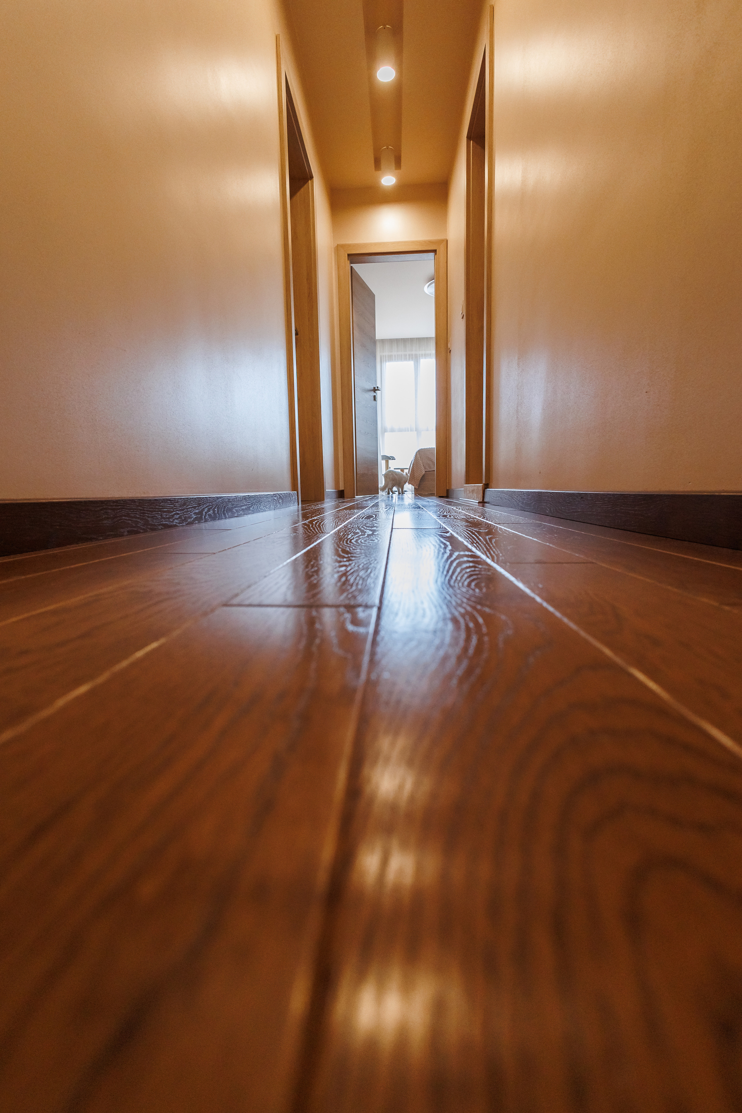 SUB Design. Фотограф Ирина Йотова