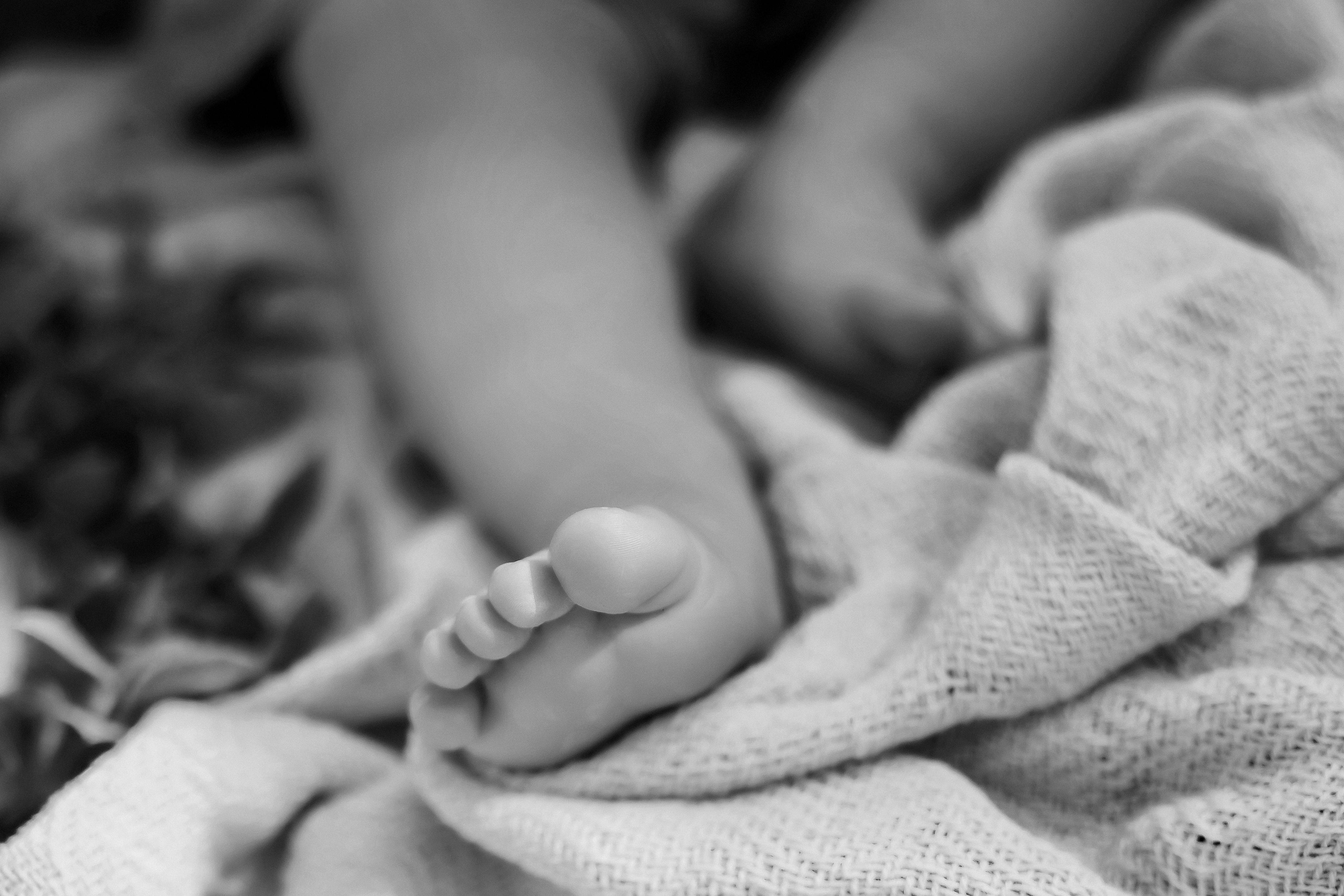 Честит Рожден Ден!. Фотограф Ирина Йотова