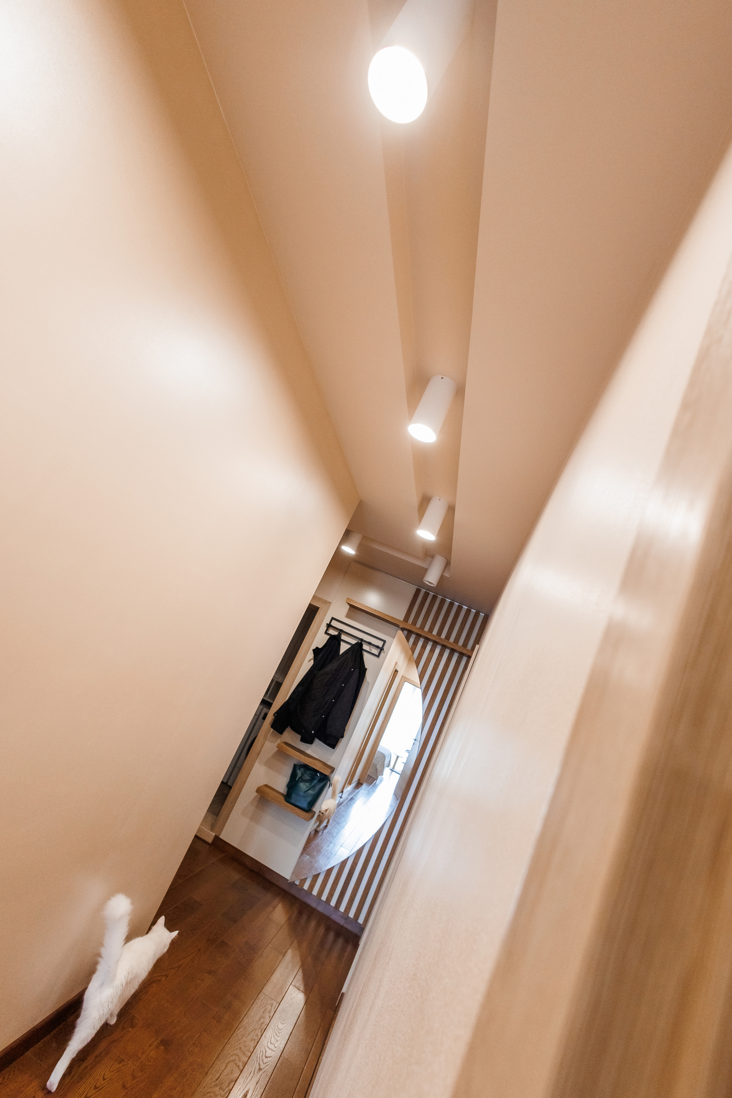 SUB Design. Фотограф Ирина Йотова