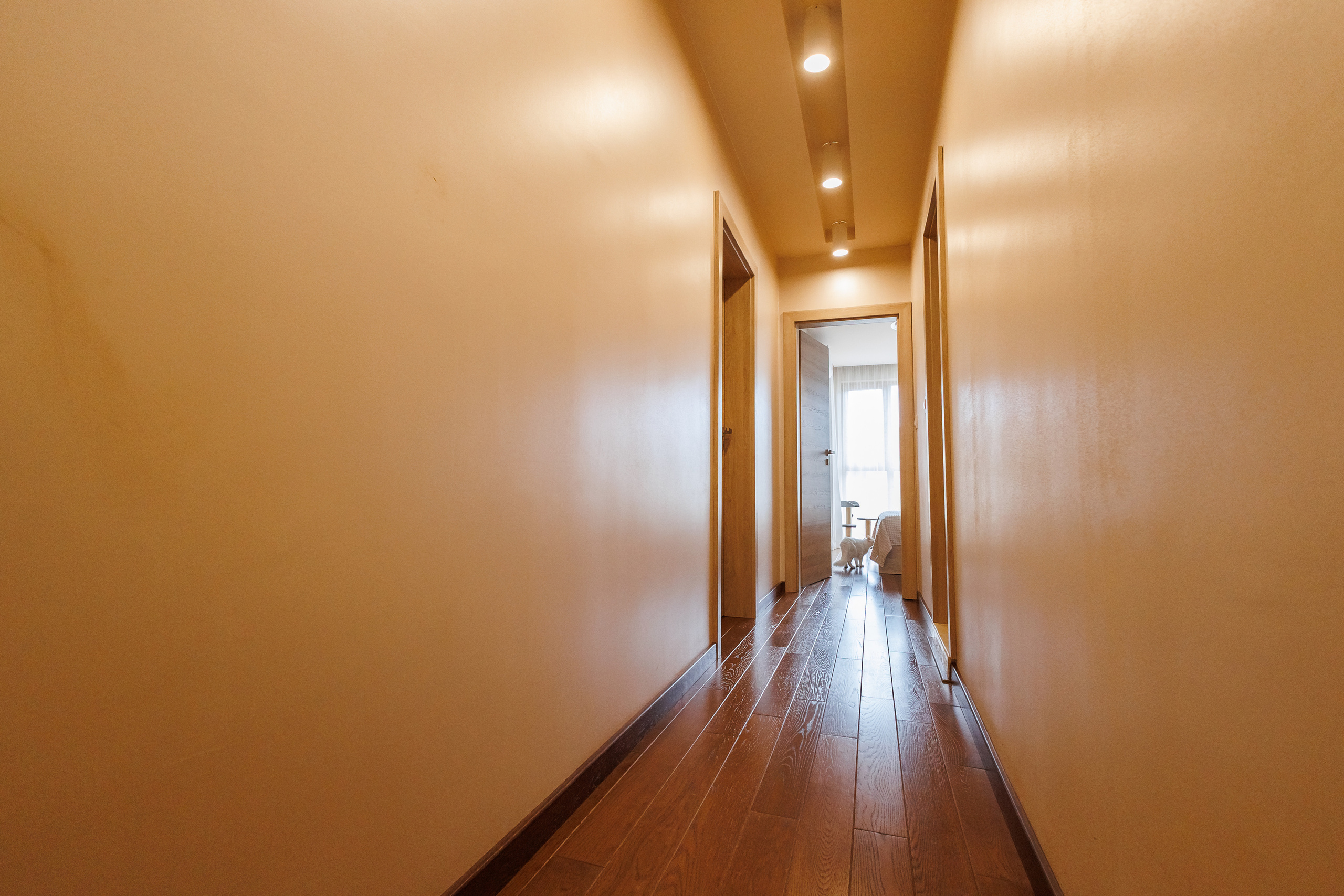 SUB Design. Фотограф Ирина Йотова