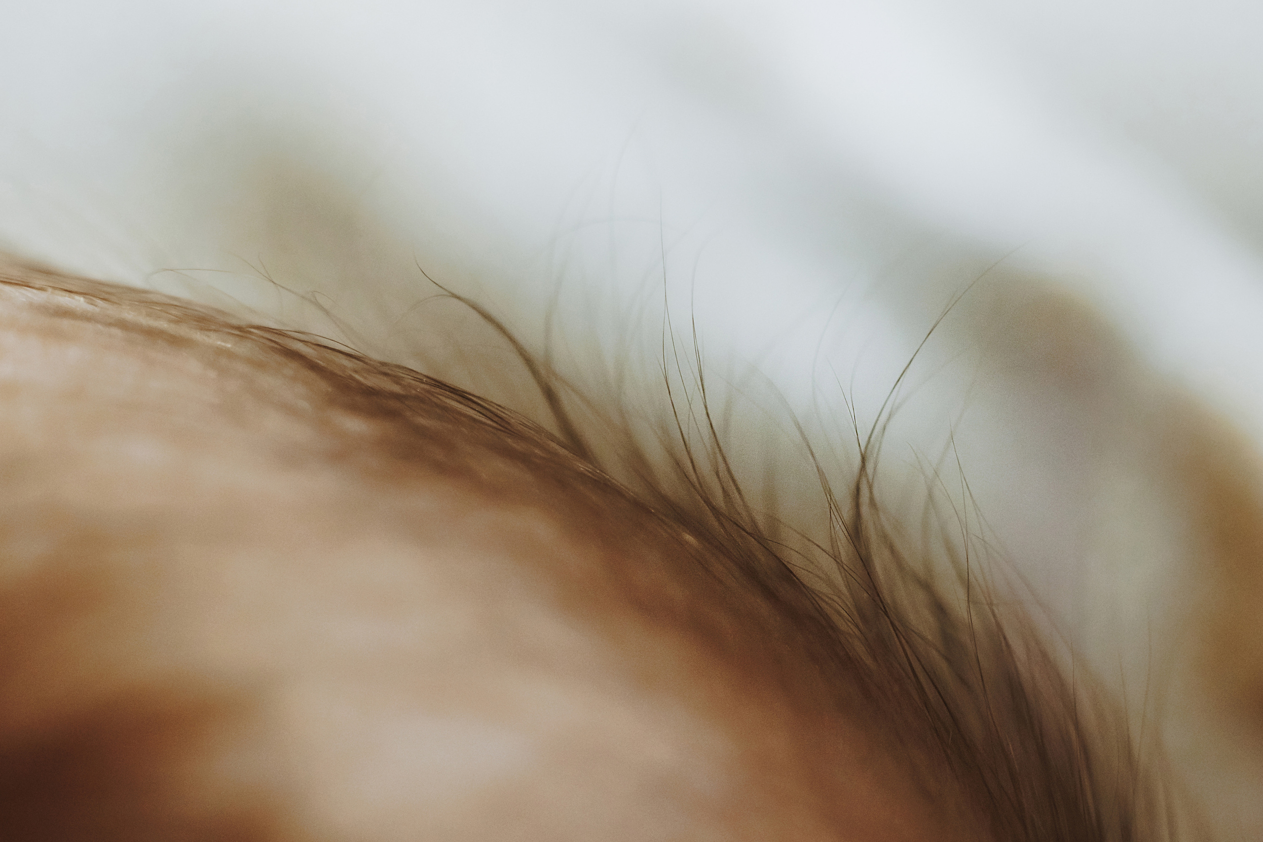 Изписване. Фотограф Ирина Йотова