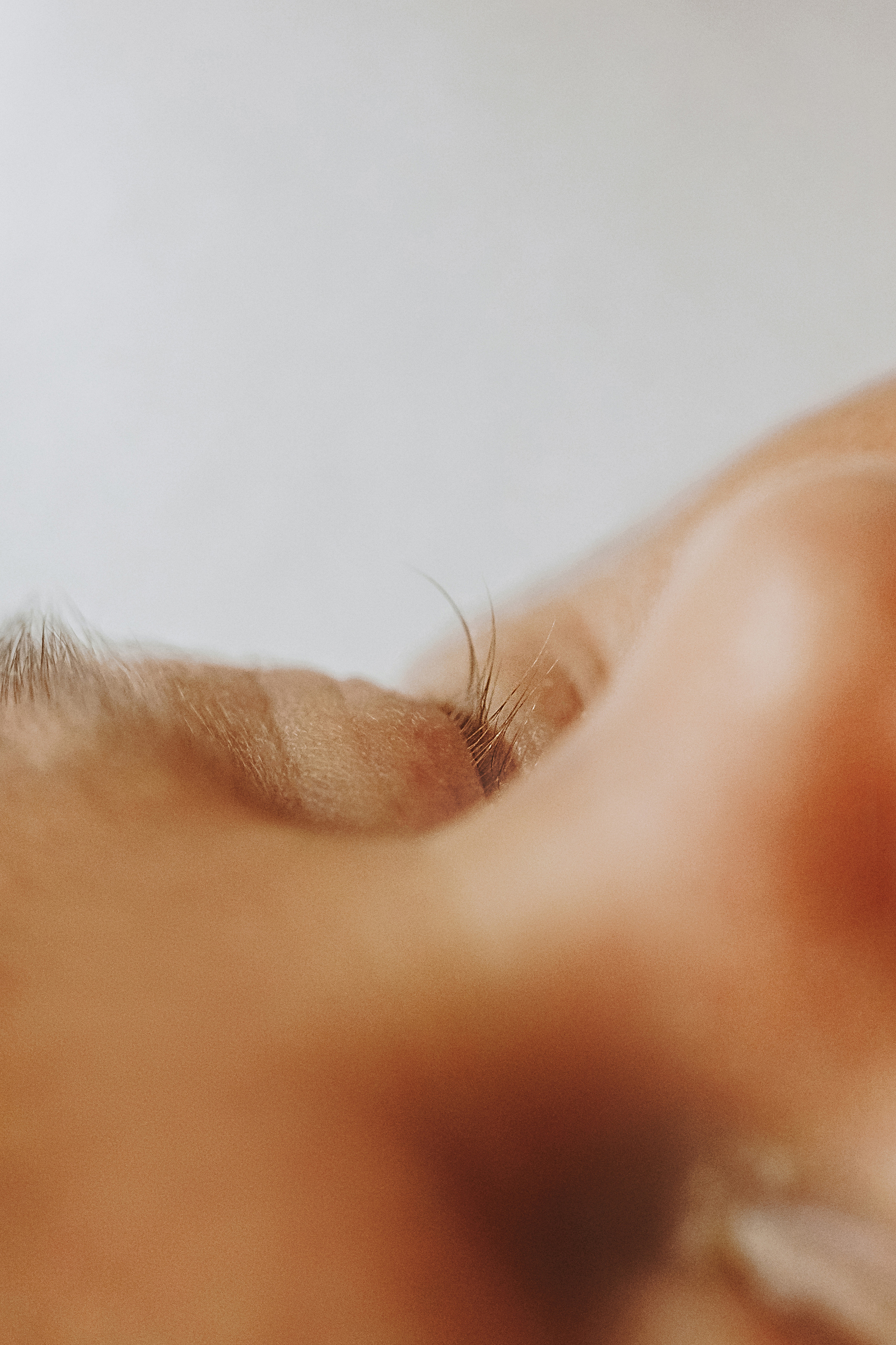 ПРОФЕСИОНАЛНА ФОТОСЕСИЯ newborn. Фотограф Ирина Йотова