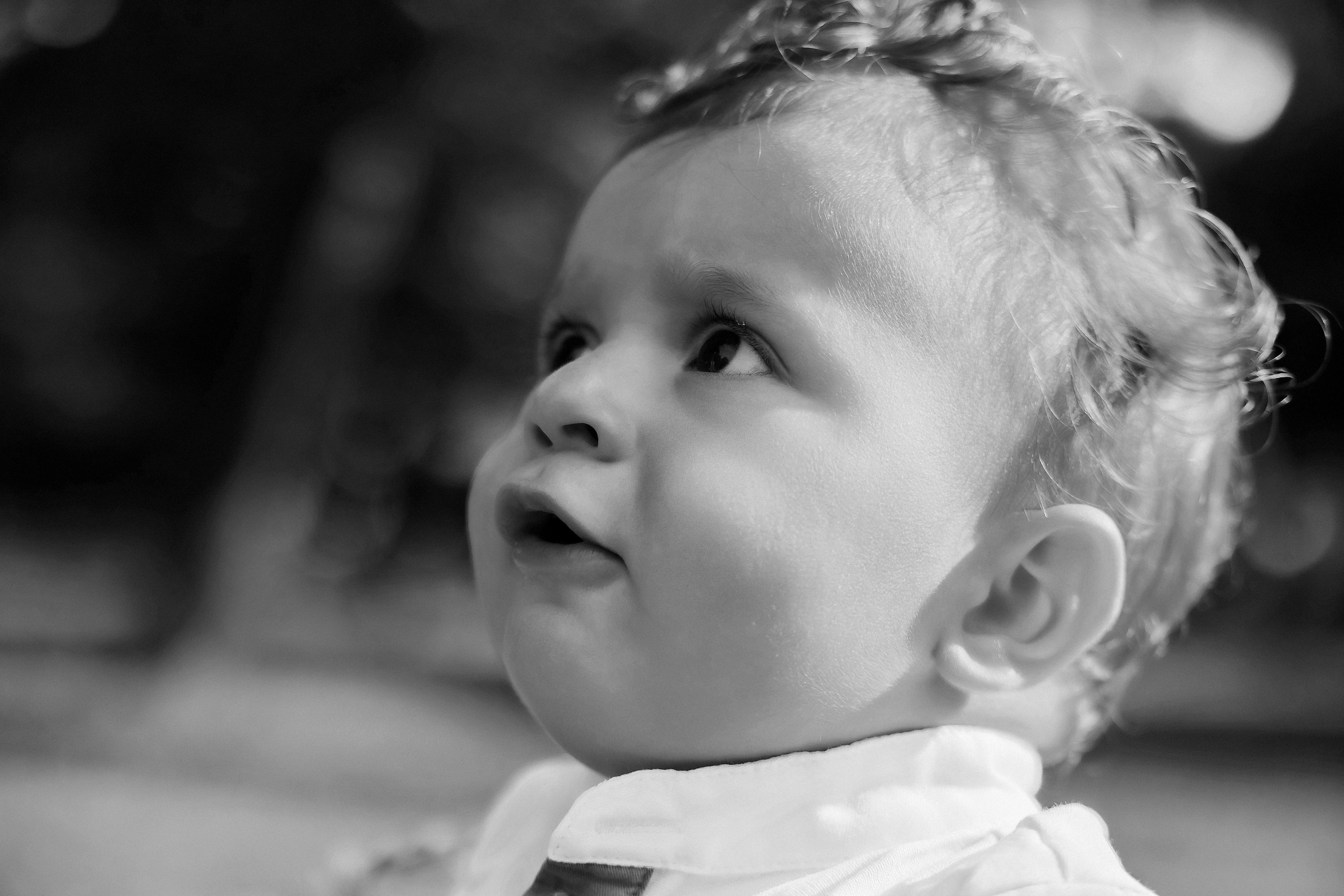 Честит Рожден Ден!. Фотограф Ирина Йотова