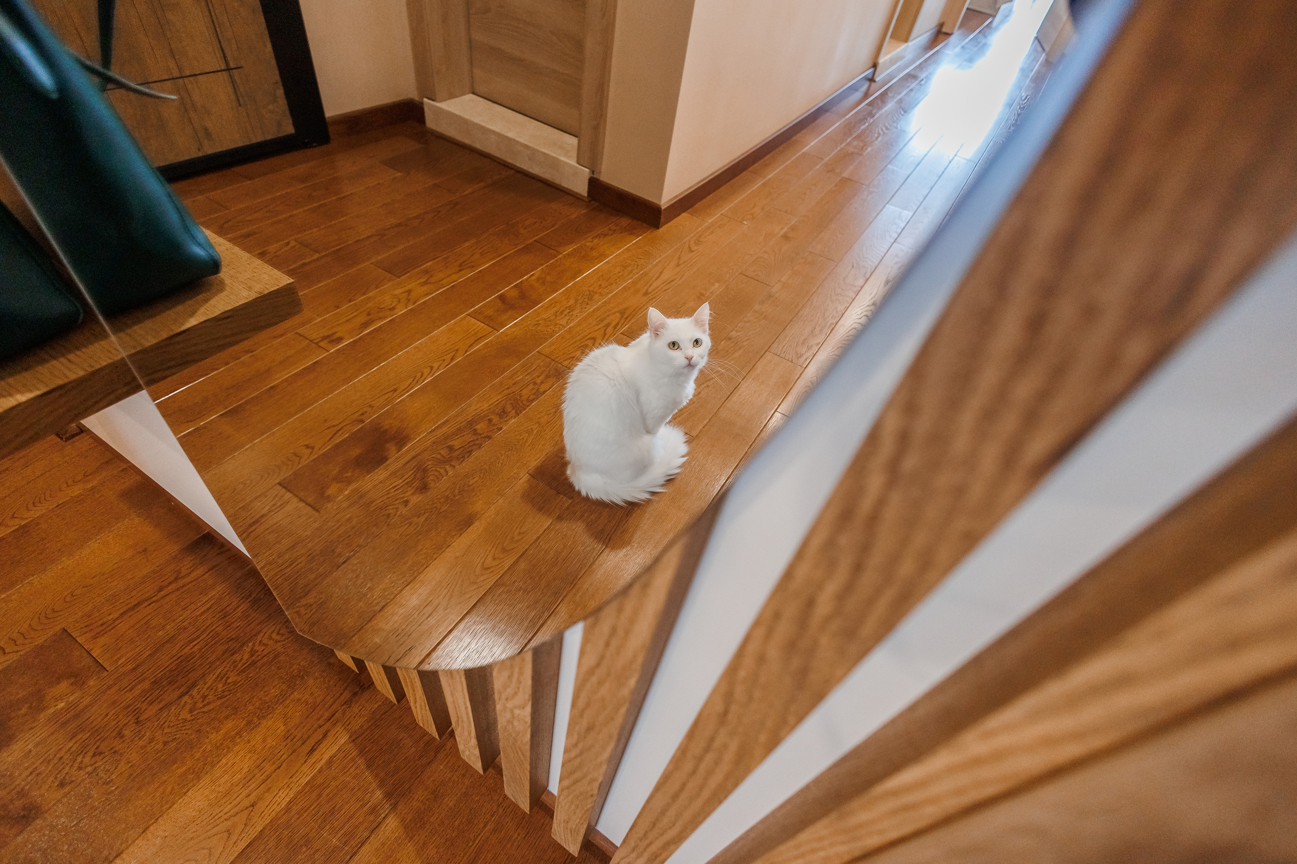 SUB Design. Фотограф Ирина Йотова