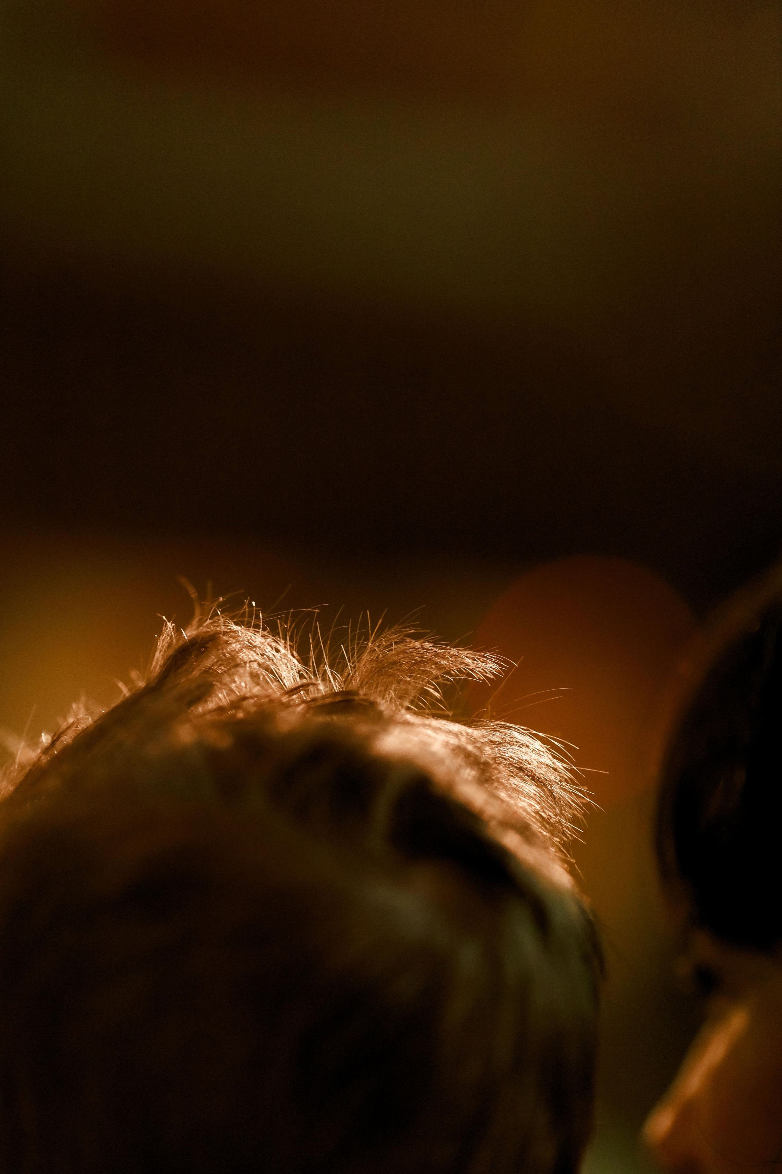 Поморие х. Св.Рождество Богородично. Фотограф Ирина Йотова