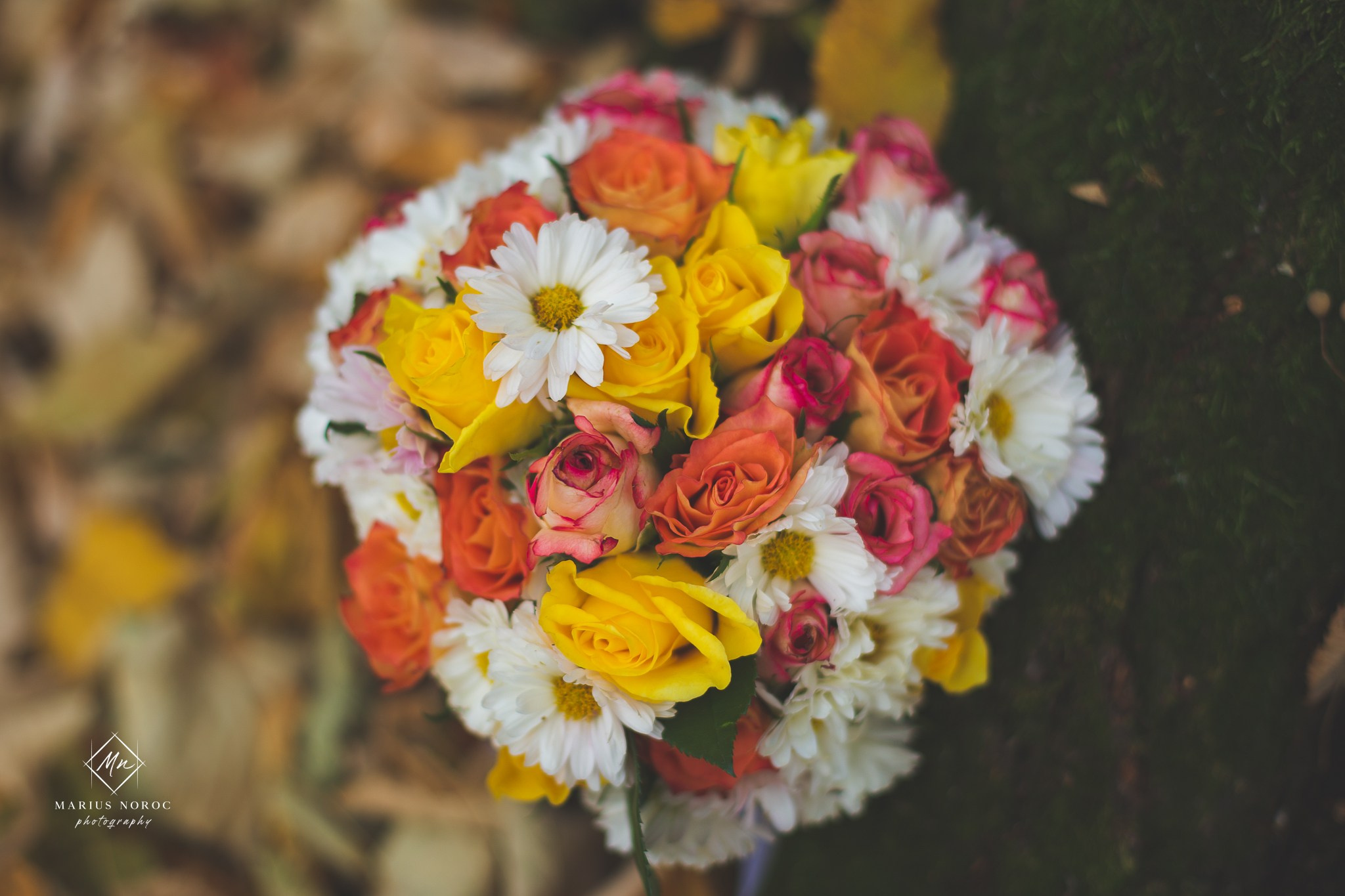 Oana & Daniel | Padurea Bucium Iasi