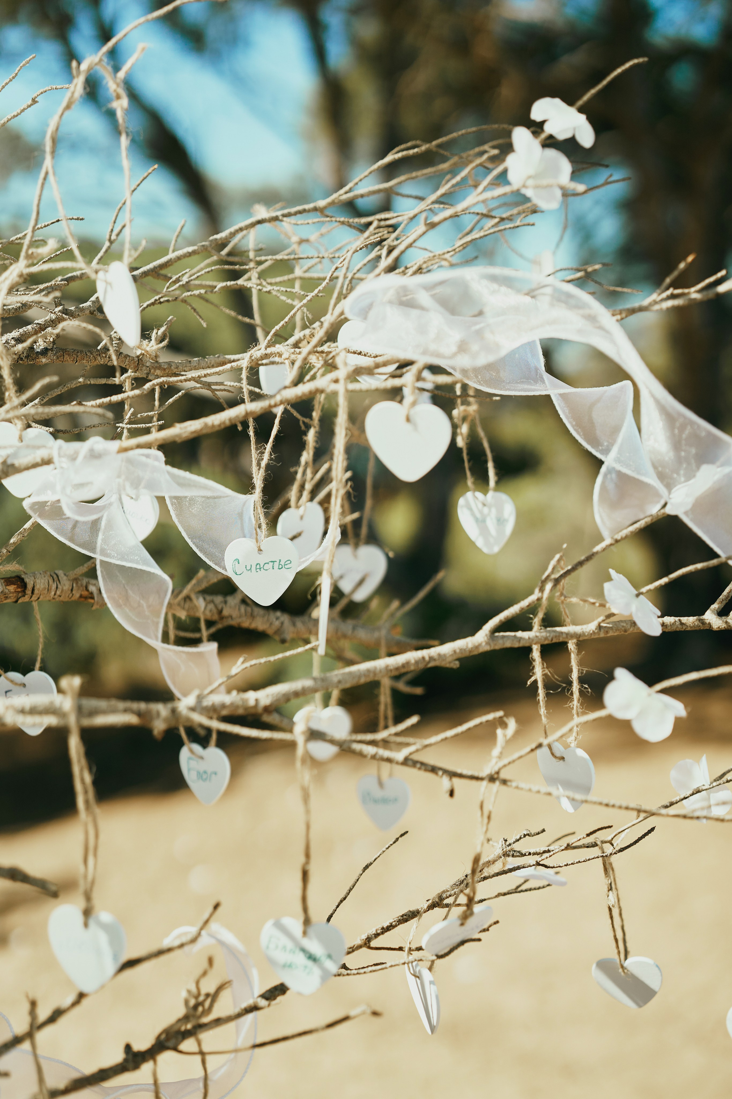Дмитрий и Инна. Фотограф в Барселоне Жанна Захарченко