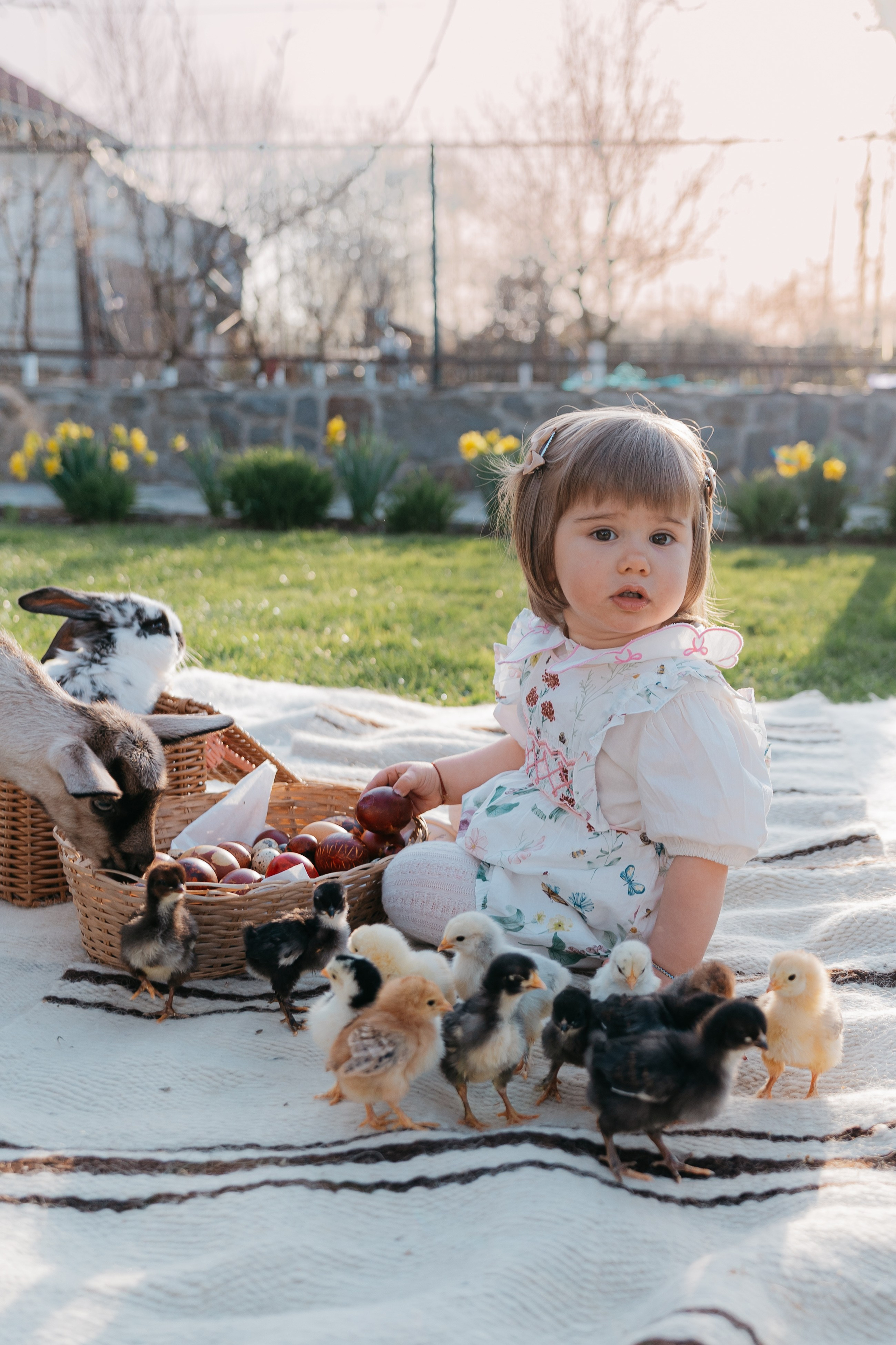EASTER. Ars Vidi | Digital Solutions