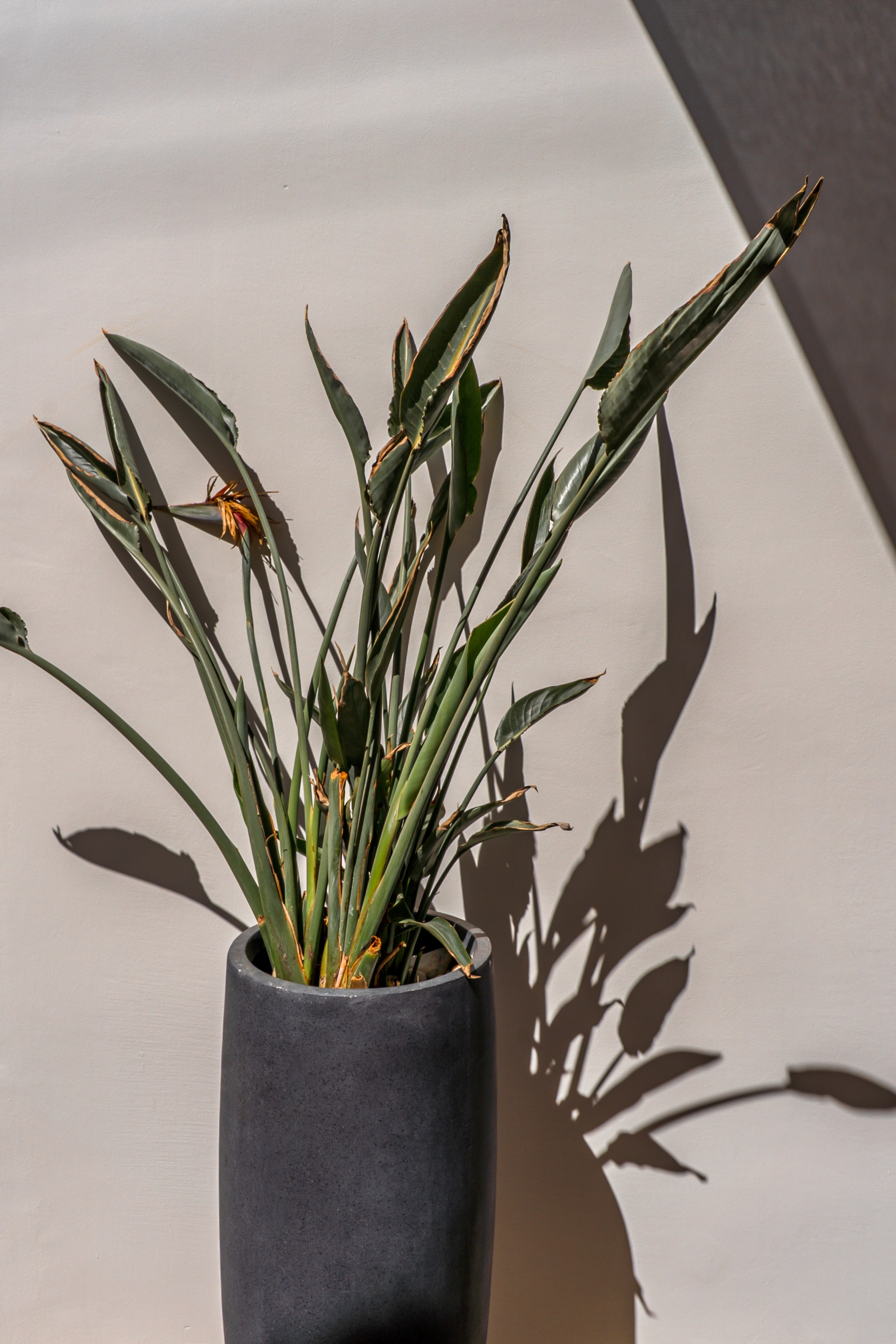 Boutique Hotel & Lifestyle ~ Numi Mykonos. Hotel Photographer Greece | George Katsaelis | sketch.gr