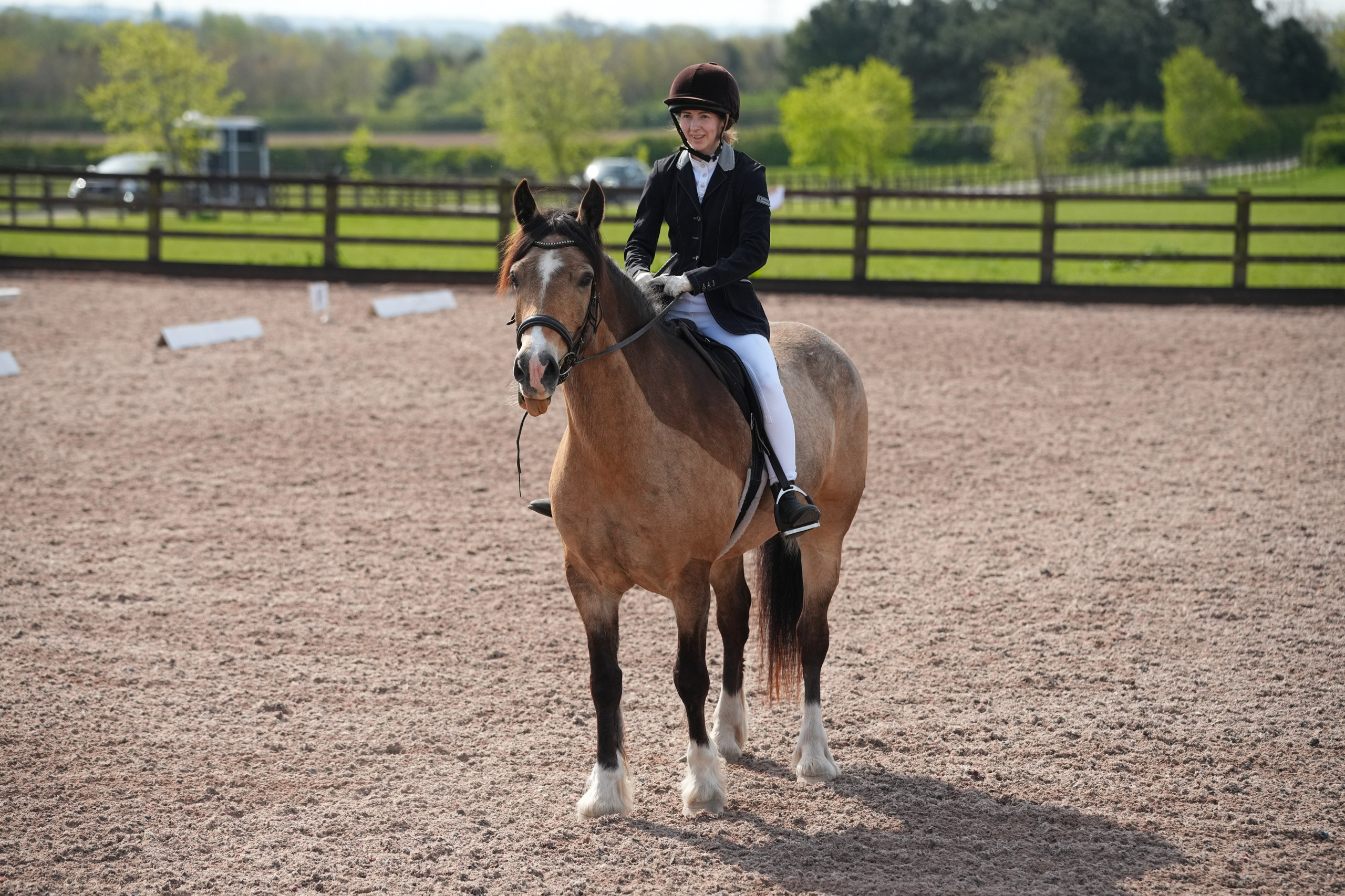 Dressage. Leicestershire Equine Photography by El | Authentic Equine Portraits & Events