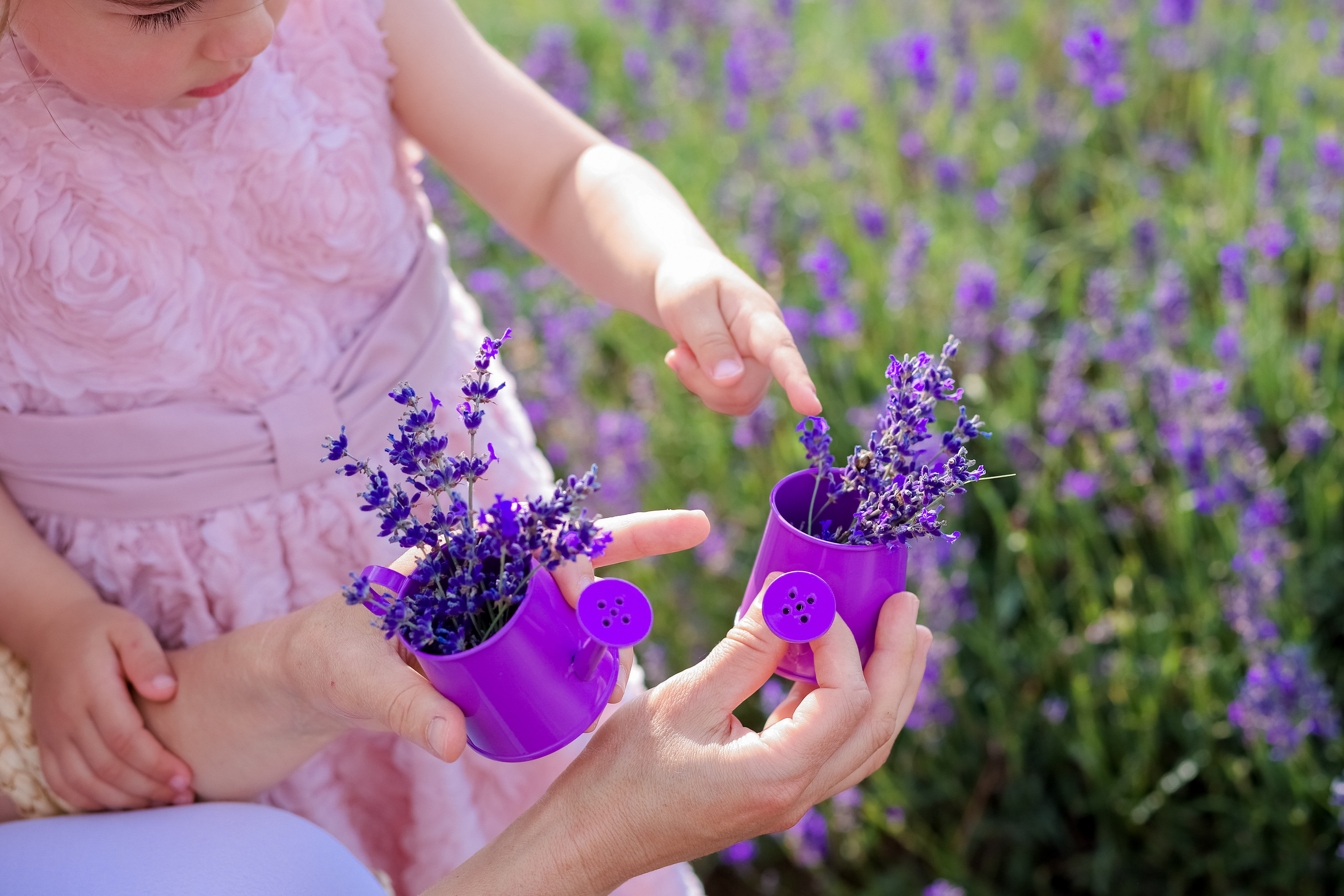 Lavender. Family & children’s photographer in Herts & West London Iryna Blair
