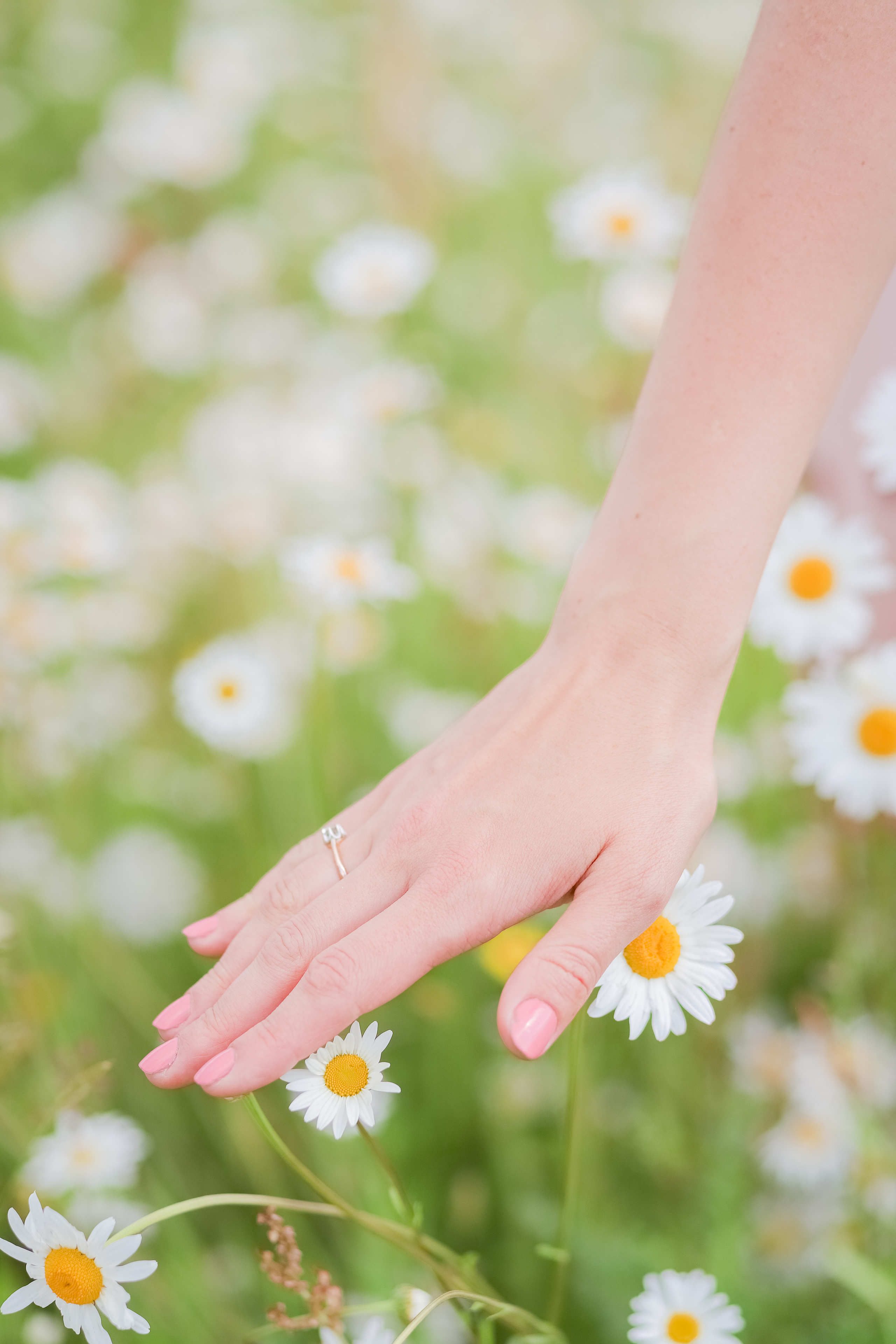 Daisies. Family & children’s photographer in Herts & West London Iryna Blair