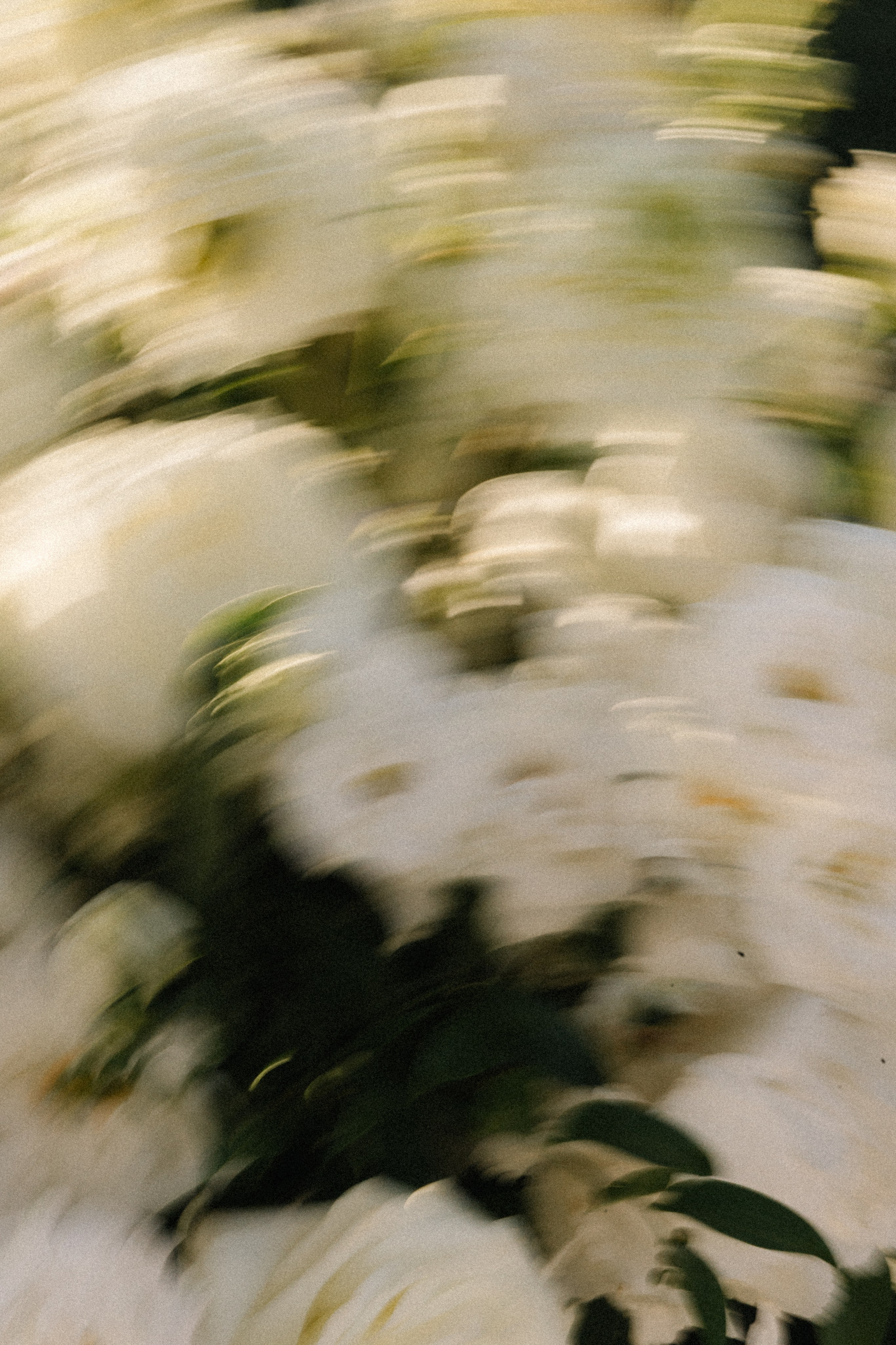 Isabelle & Adam, Villa Miani, Rome. Фотограф в Милане Анна Линник