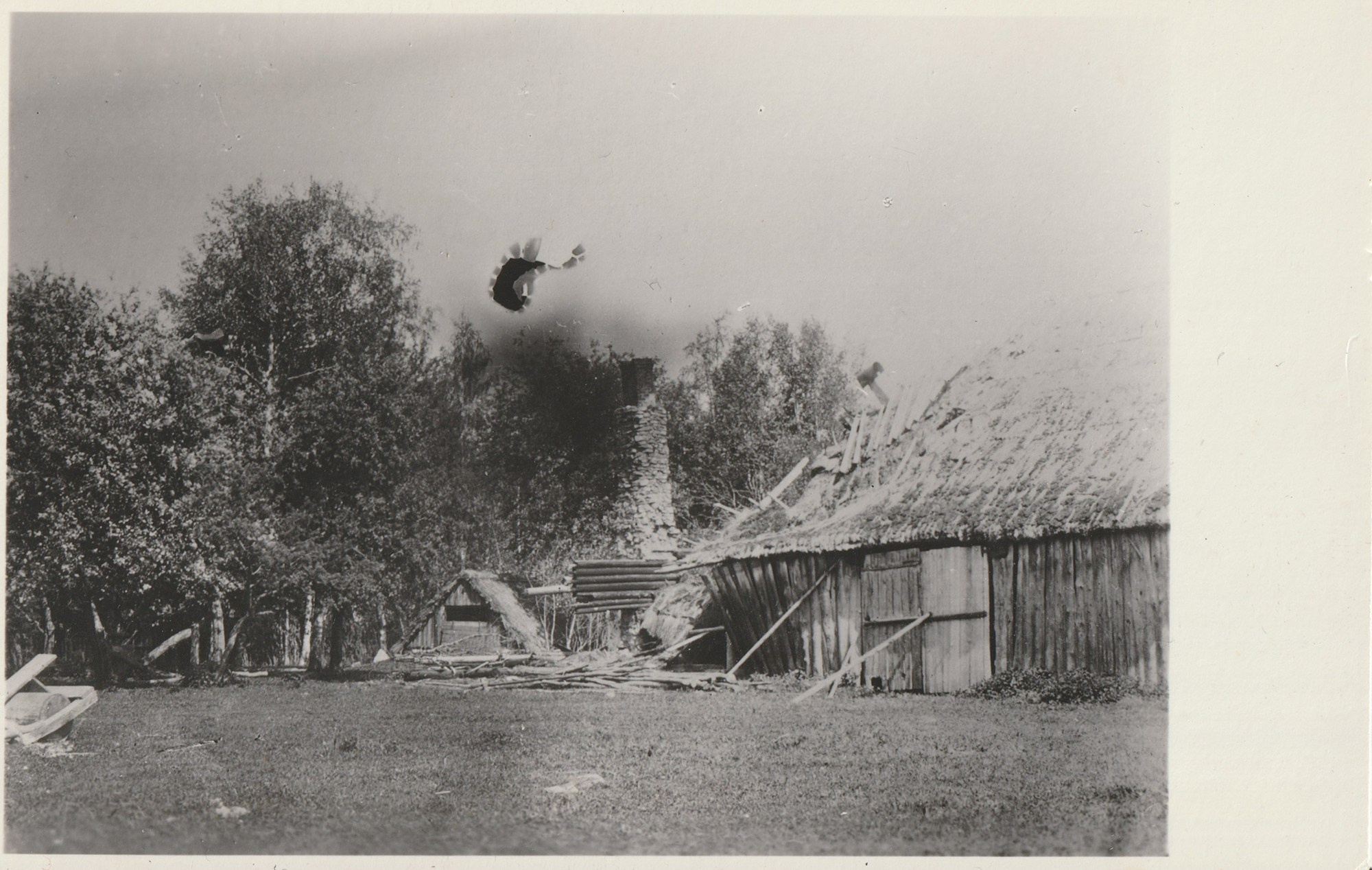 Babcia (ongoing). Jana Gertz