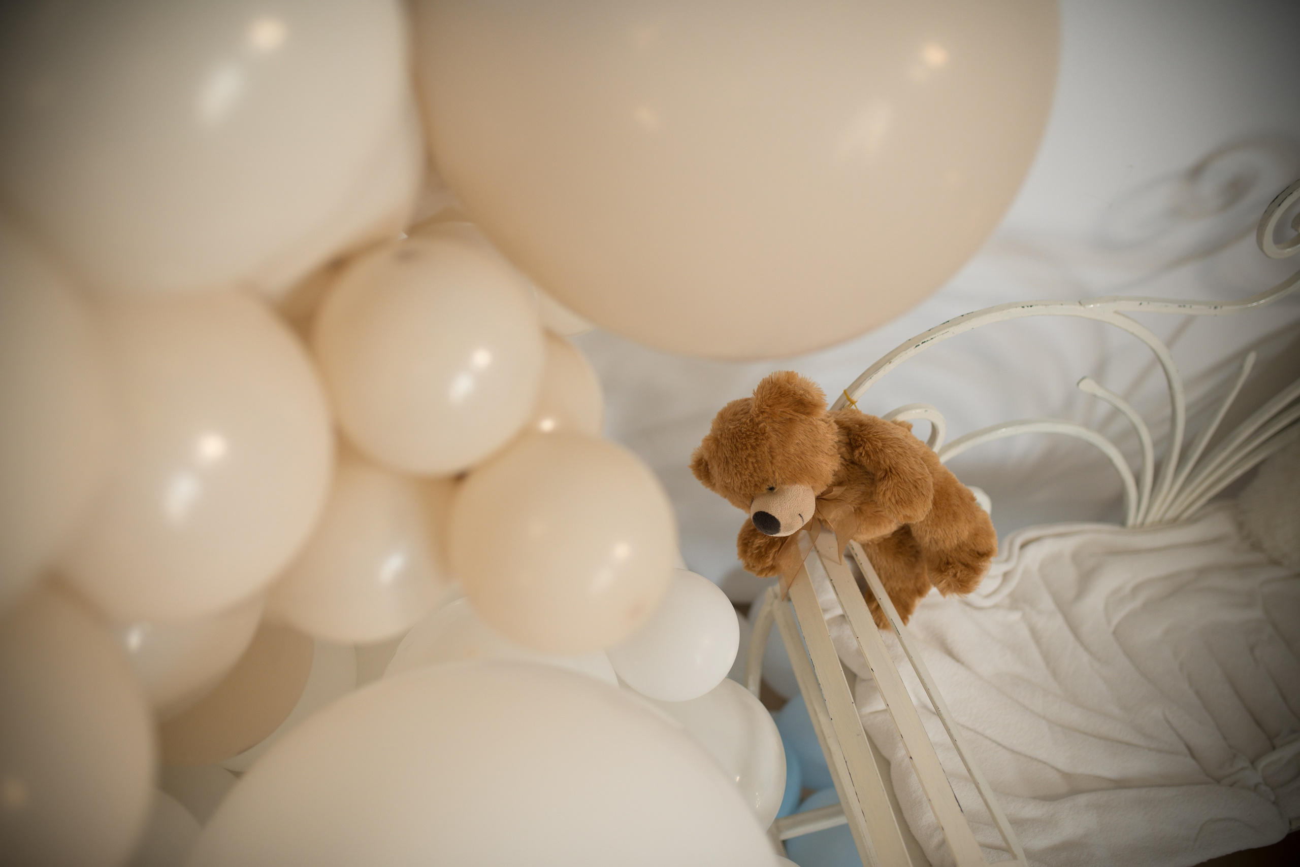 Botez Stefan. Daniel Criste Fotograf