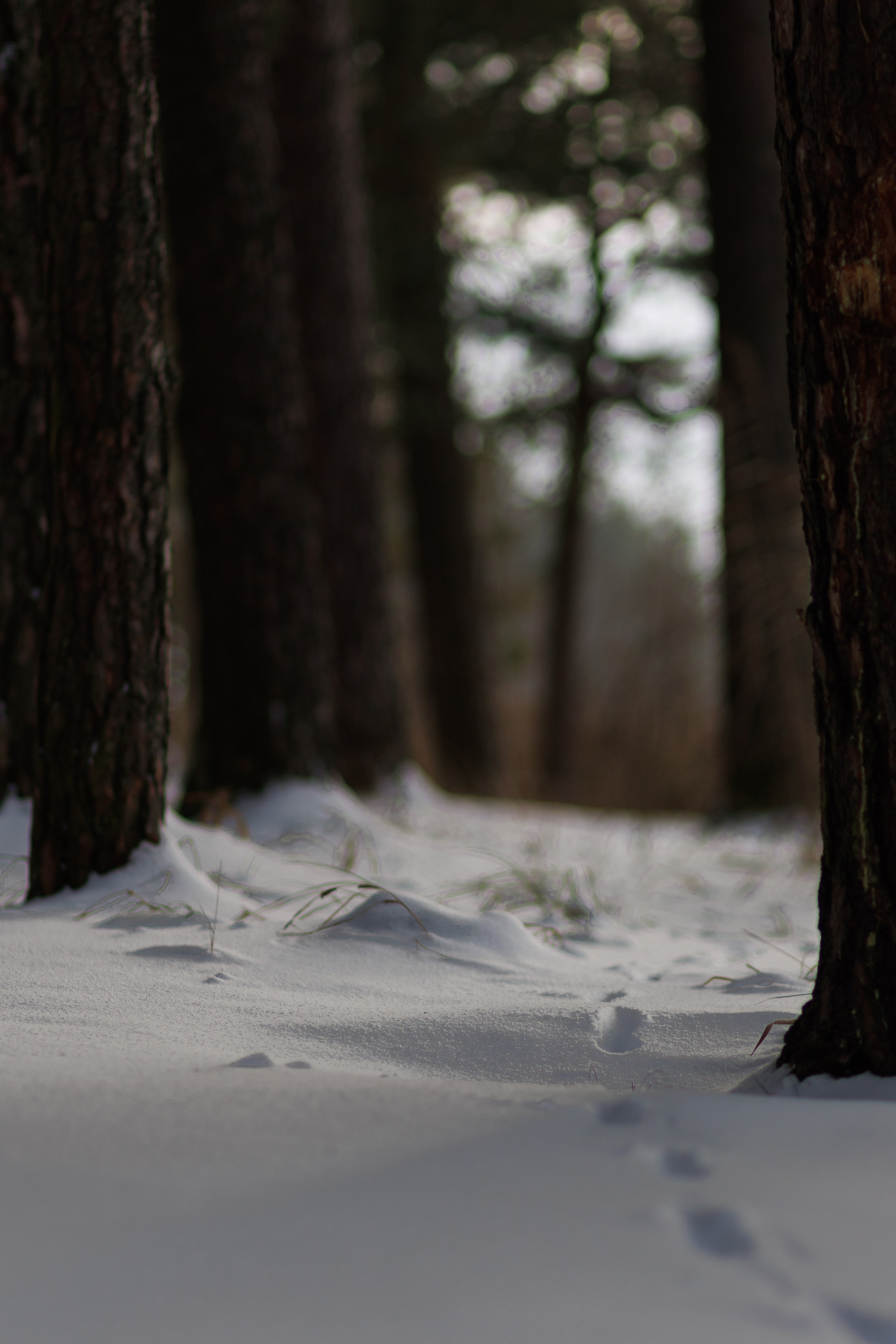Landscape. Portrait and Street photographer in Vilnius Edgar Shaipunas